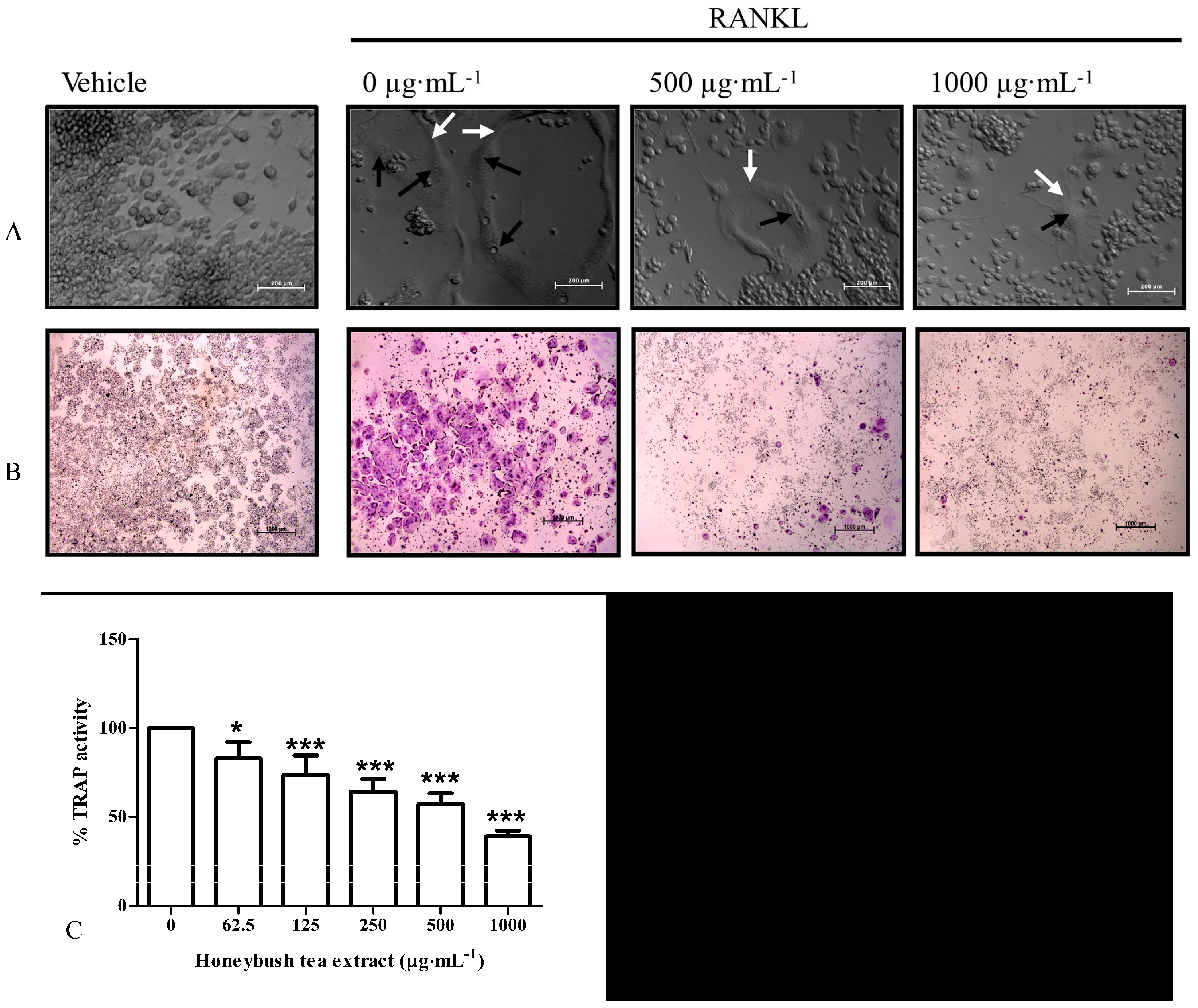 Ijerph 12 13779 g002