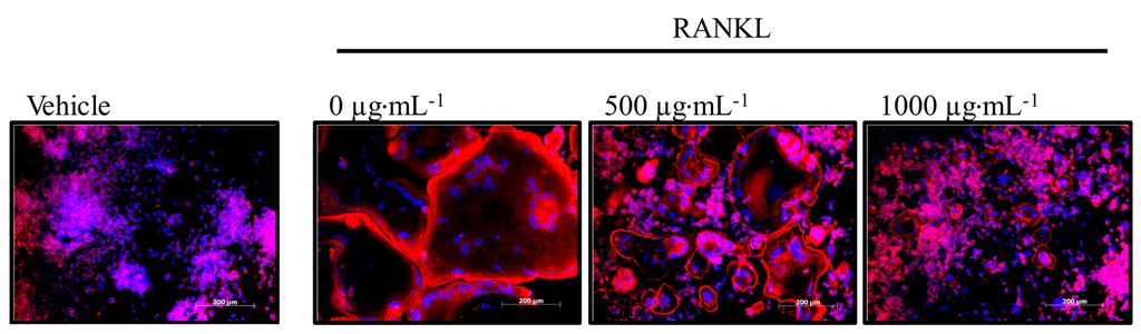 Ijerph 12 13779 g004 1024