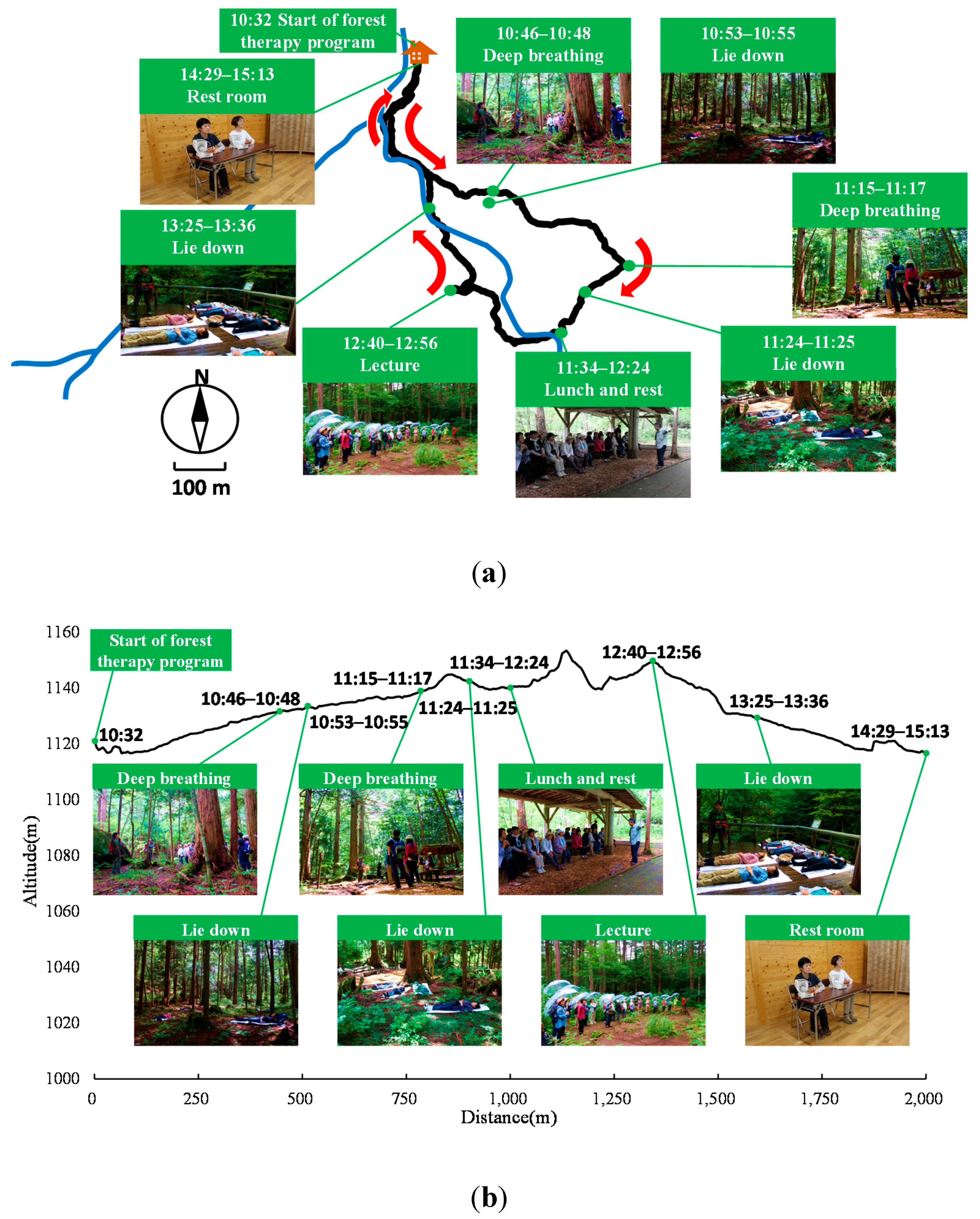 Ijerph 12 14984 g001