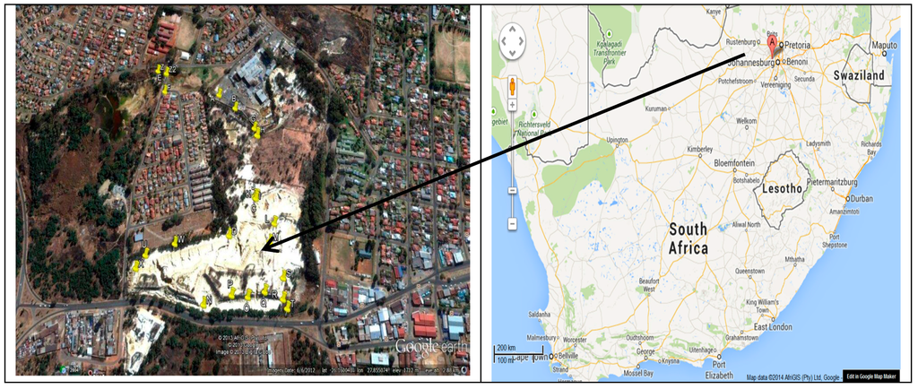 Ijerph 12 15021 g001 1024