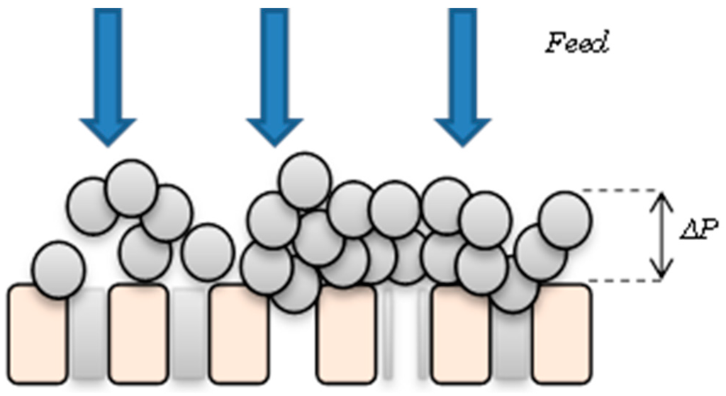 Ijerph 13 00100 g001 1024