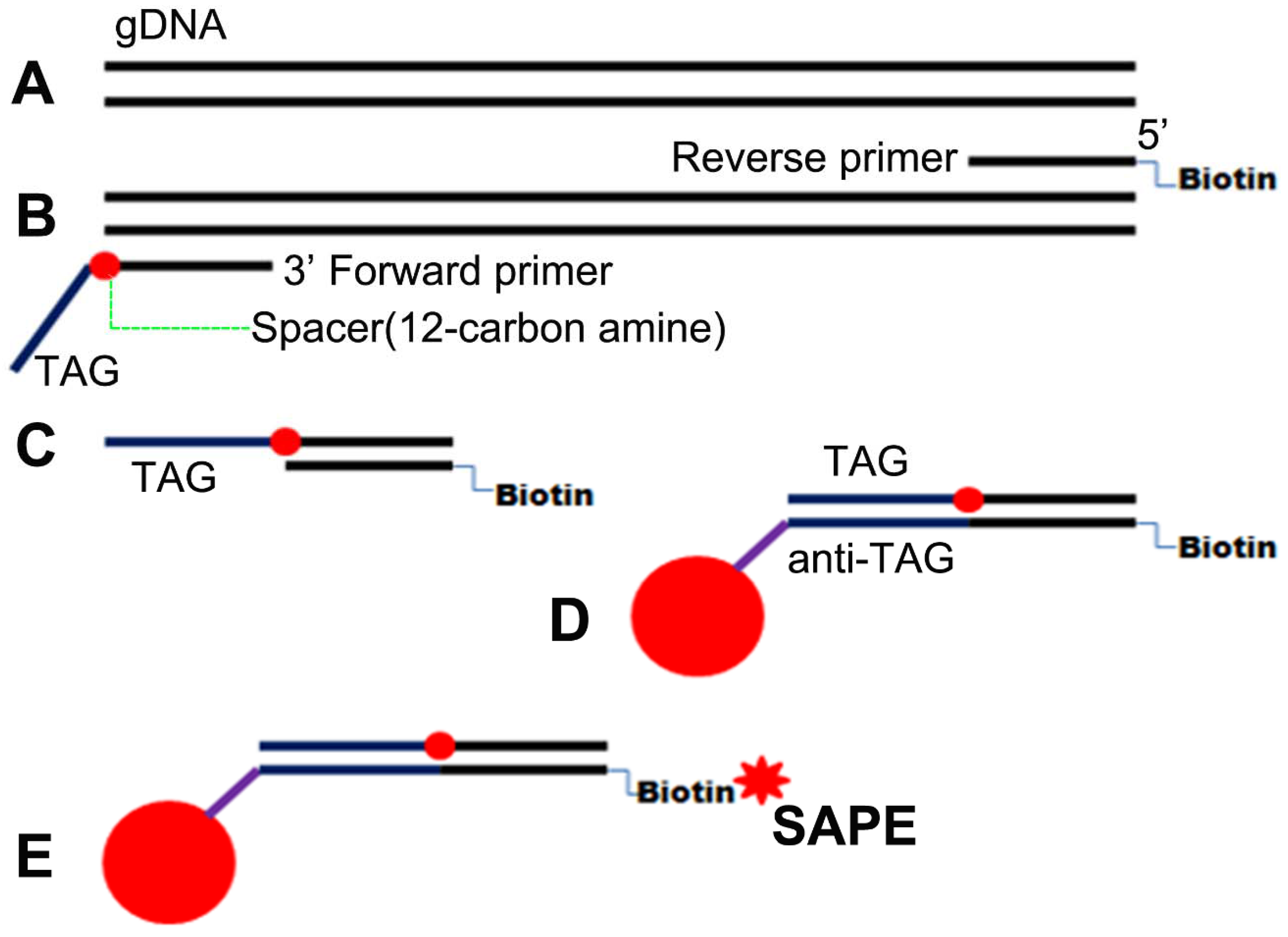 Ijerph 13 00193 g003