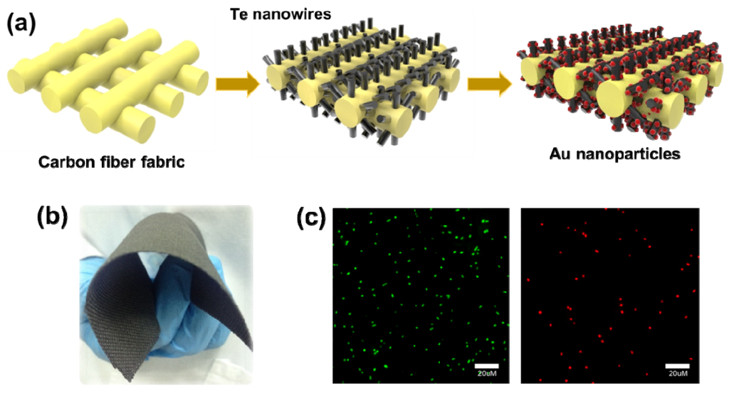 Ijerph 13 00202 g001 1024