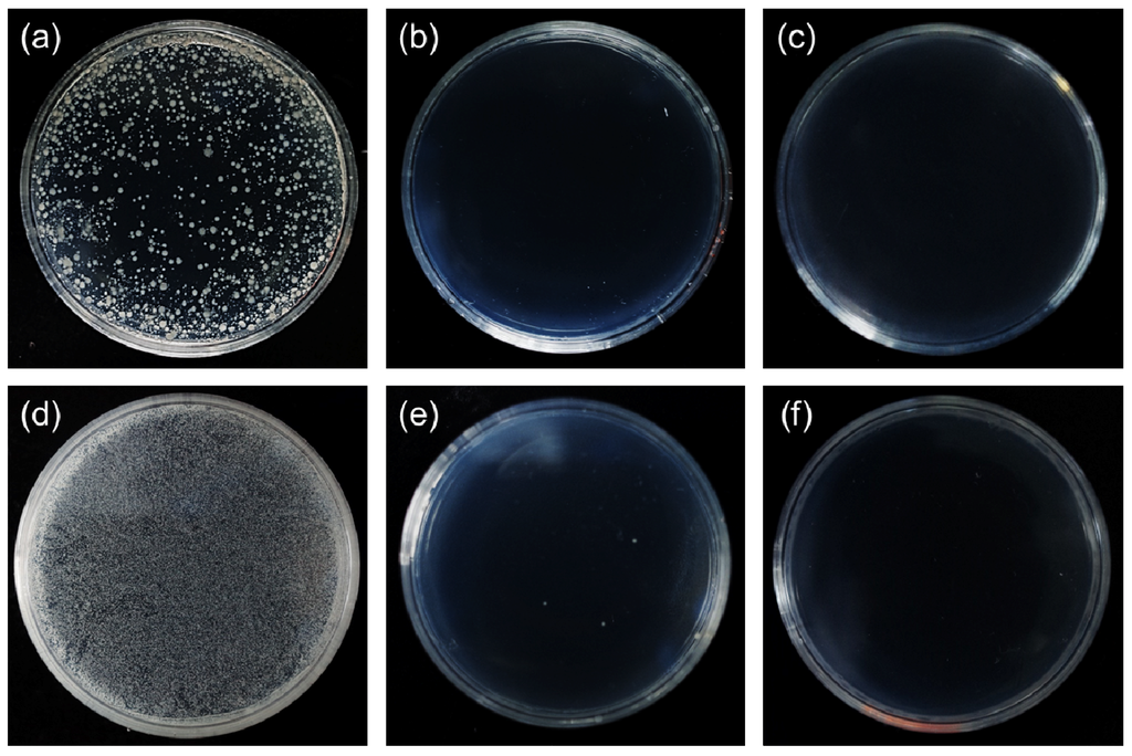 Ijerph 13 00202 g005 1024