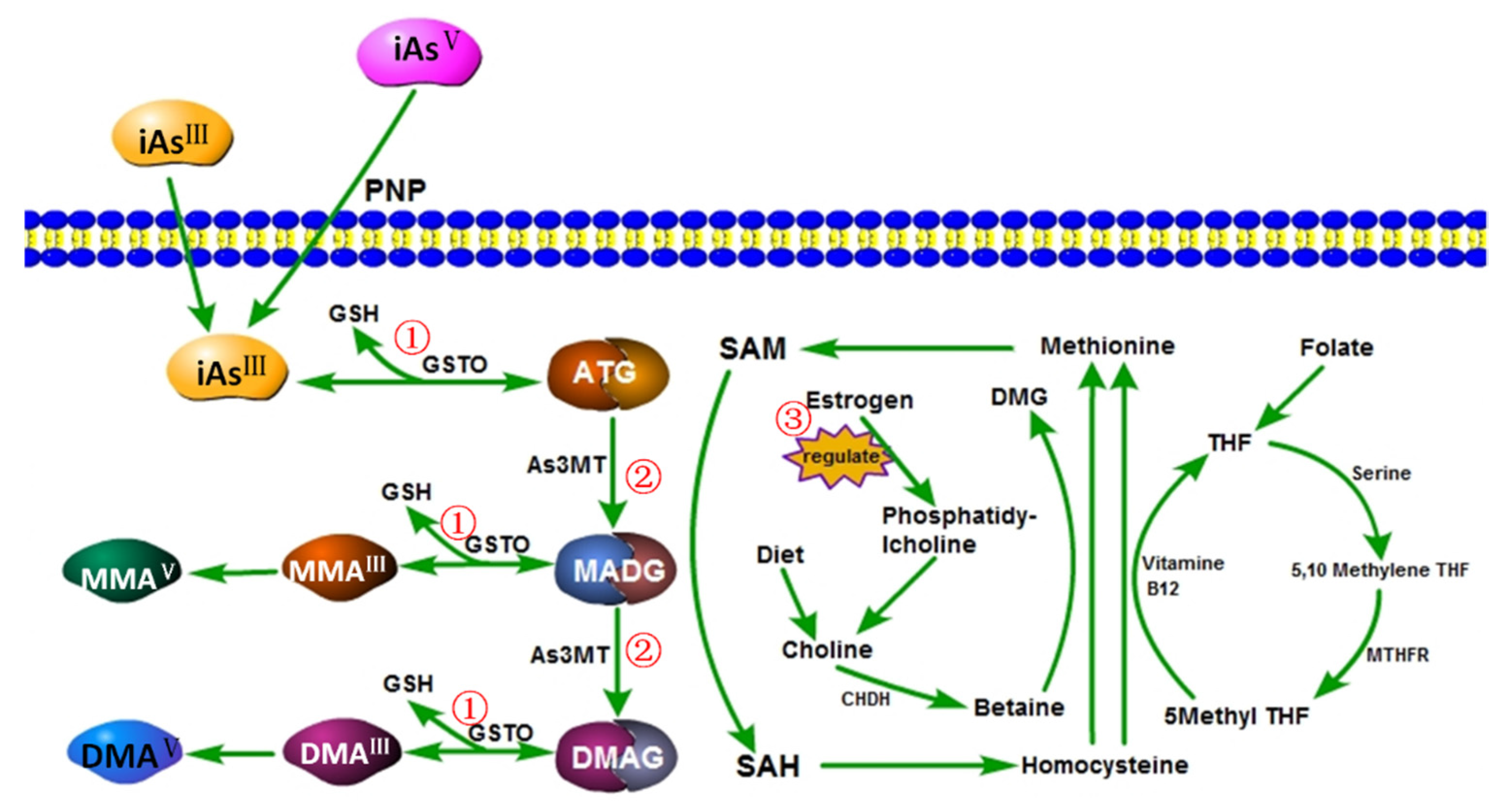 Ijerph 13 00205 g015