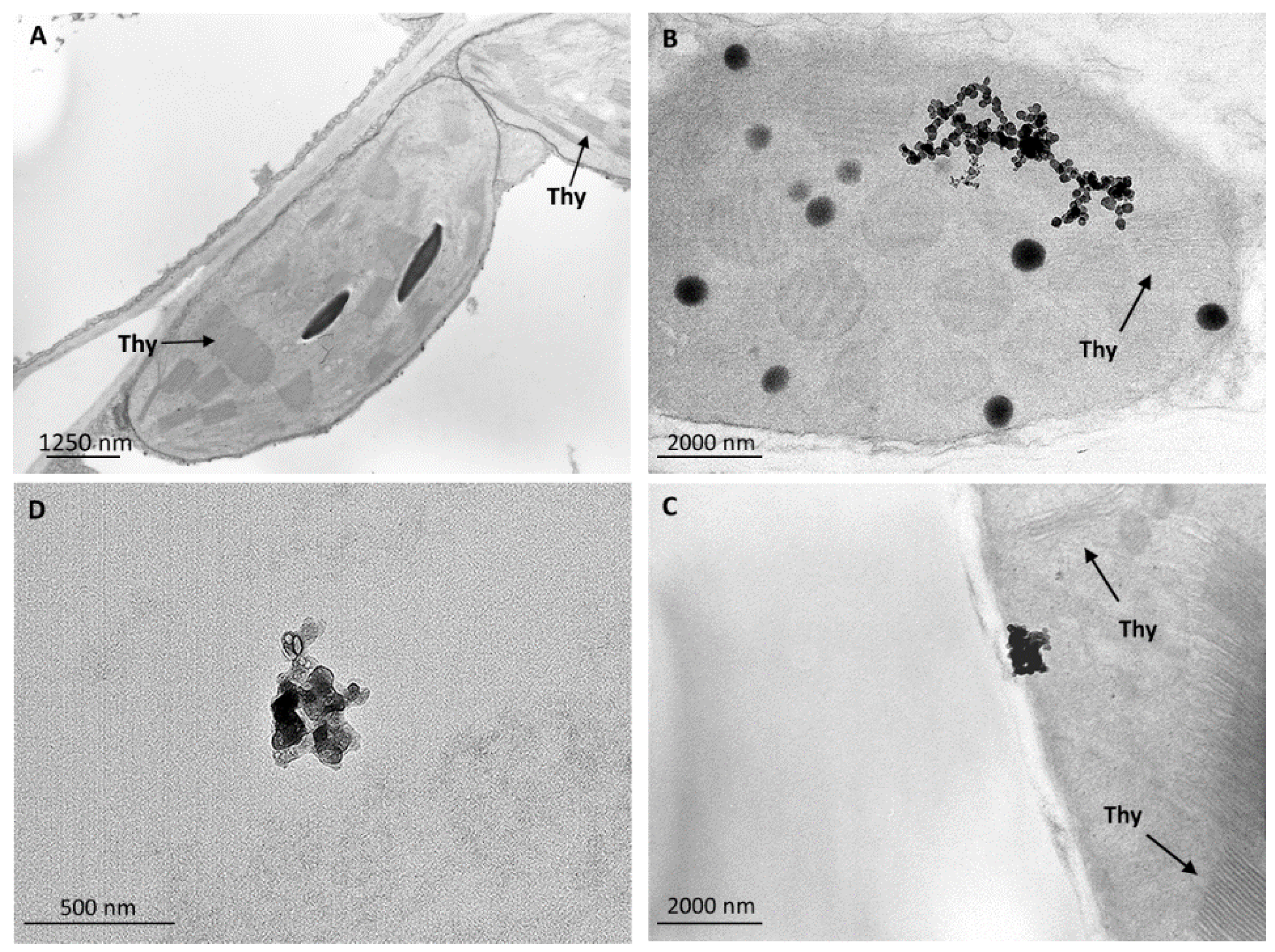 Ijerph 13 00332 g003