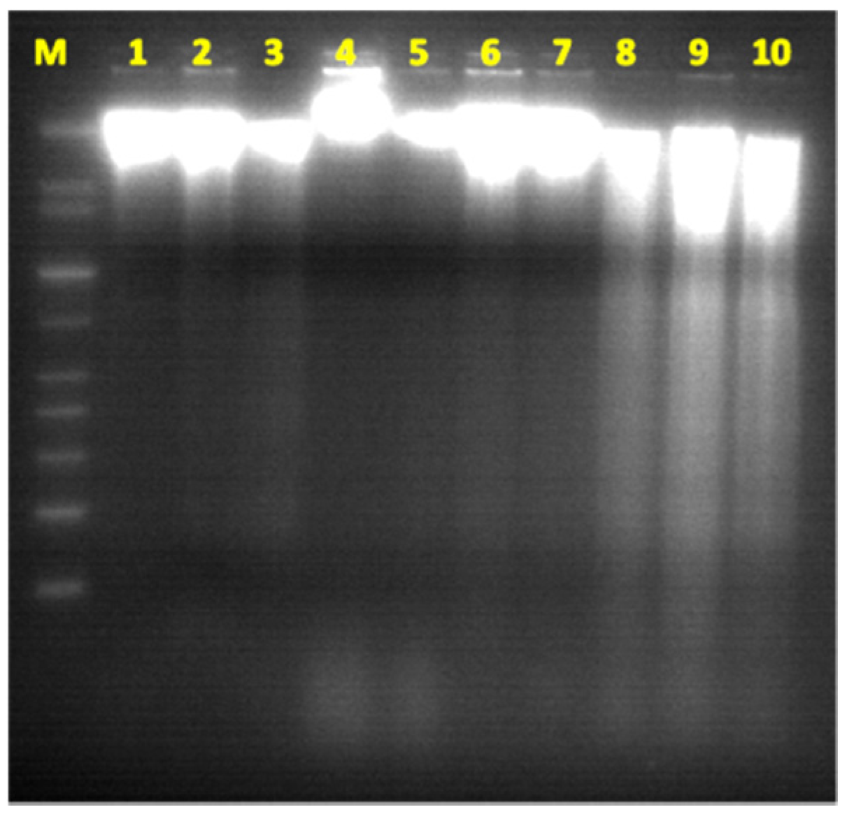 Ijerph 13 00342 g003