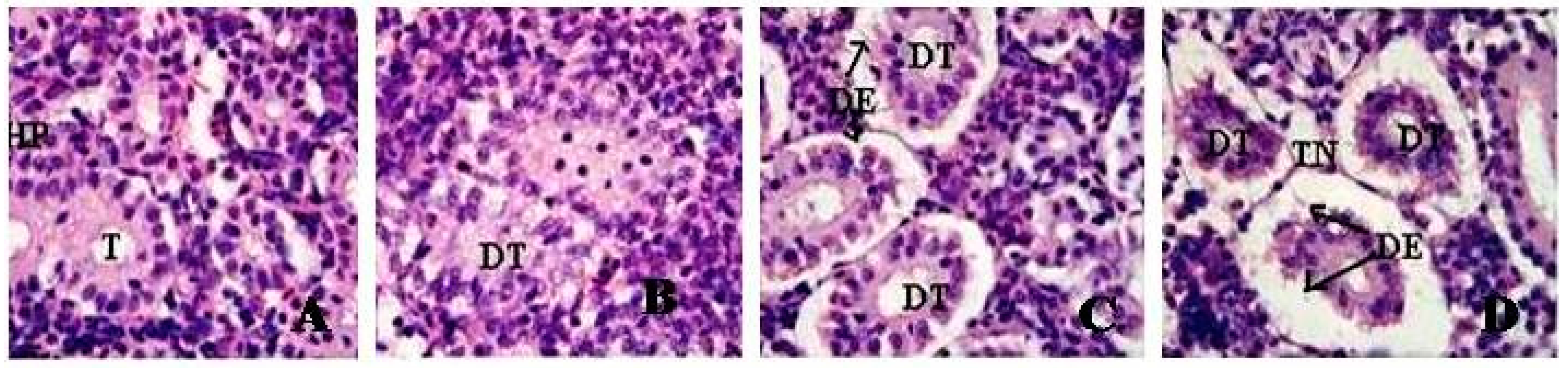 Ijerph 13 00380 g012