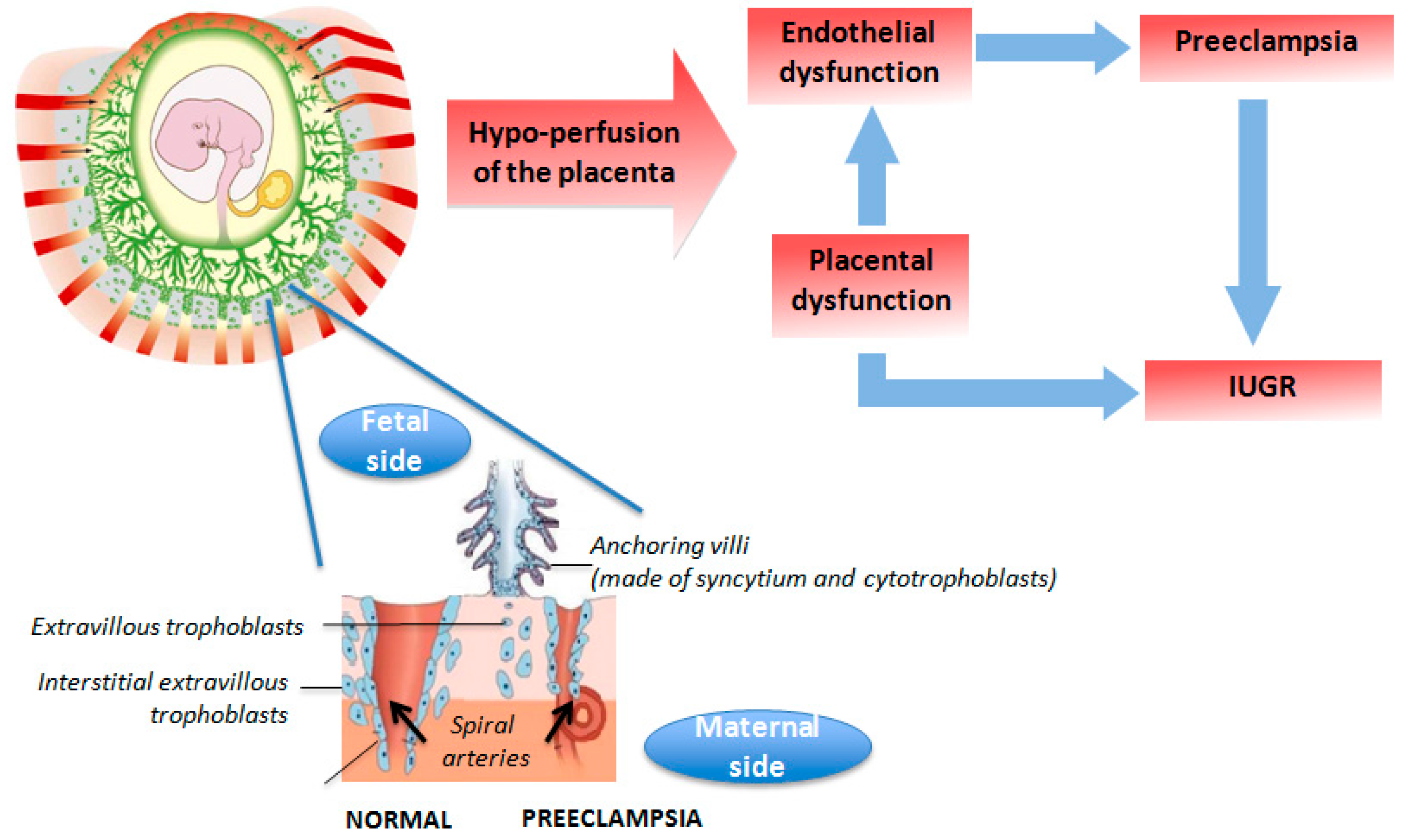 Ijerph 13 00586 g002