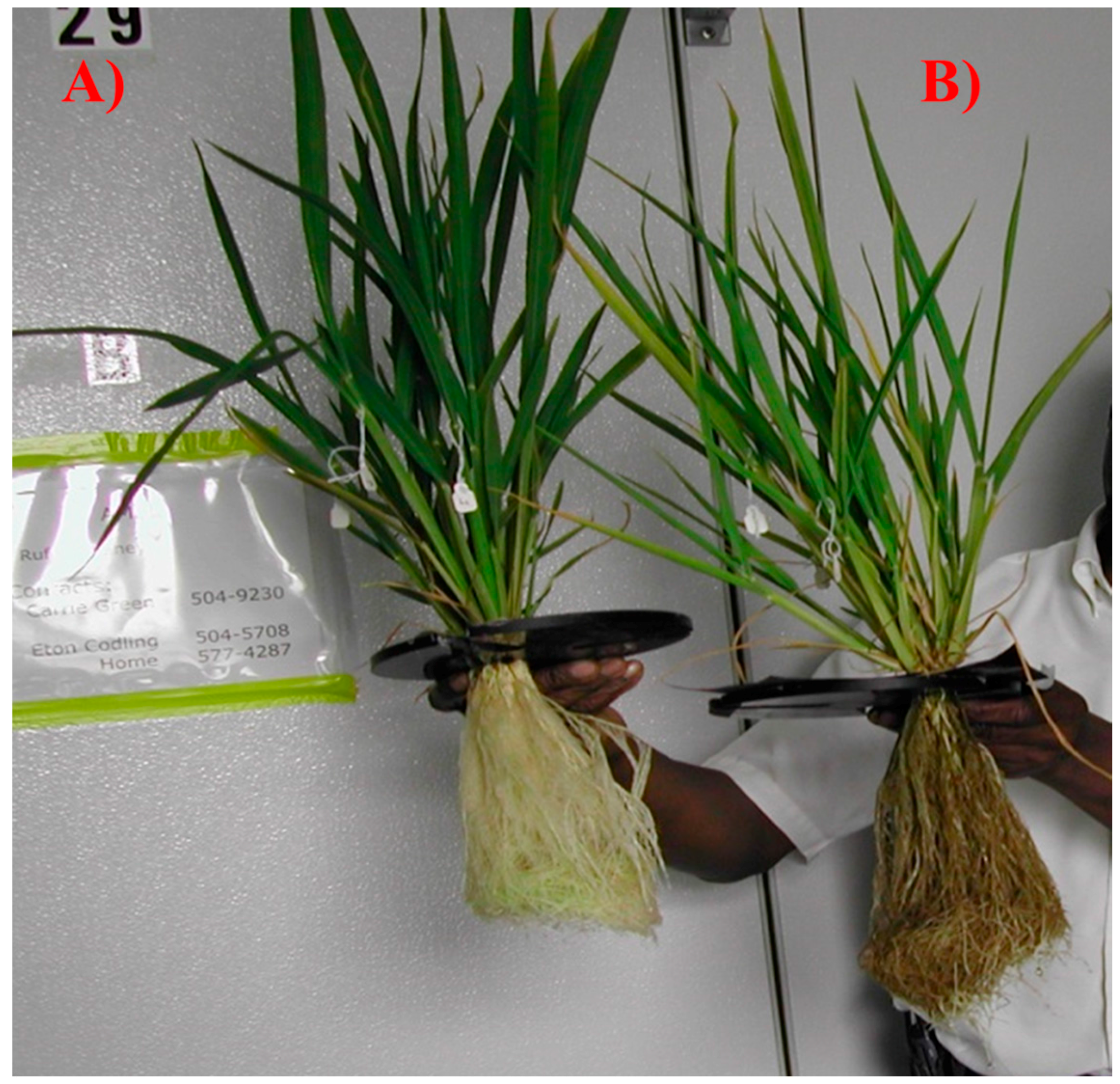 Ijerph 13 00606 g004