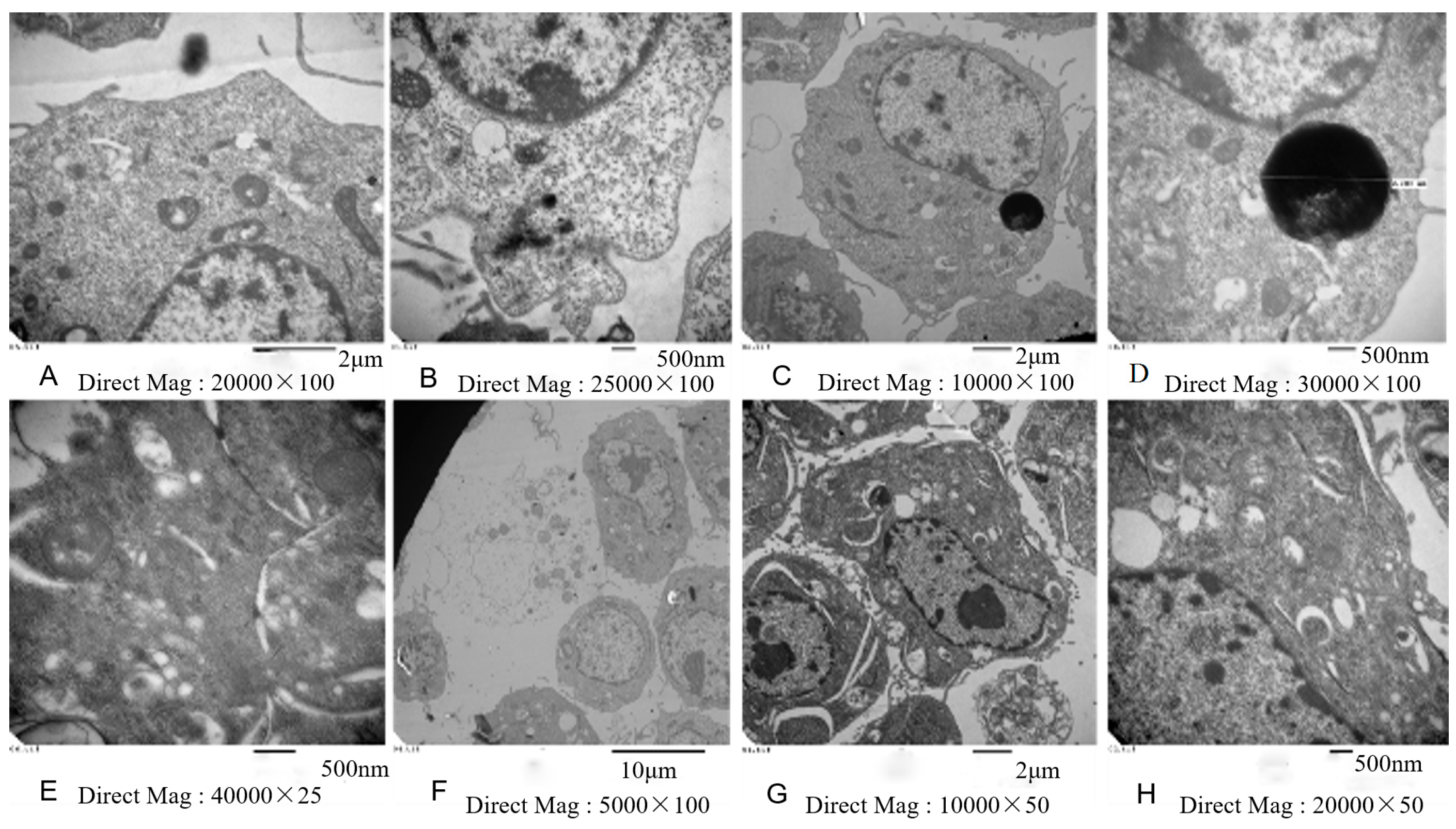 Ijerph 13 00629 g004