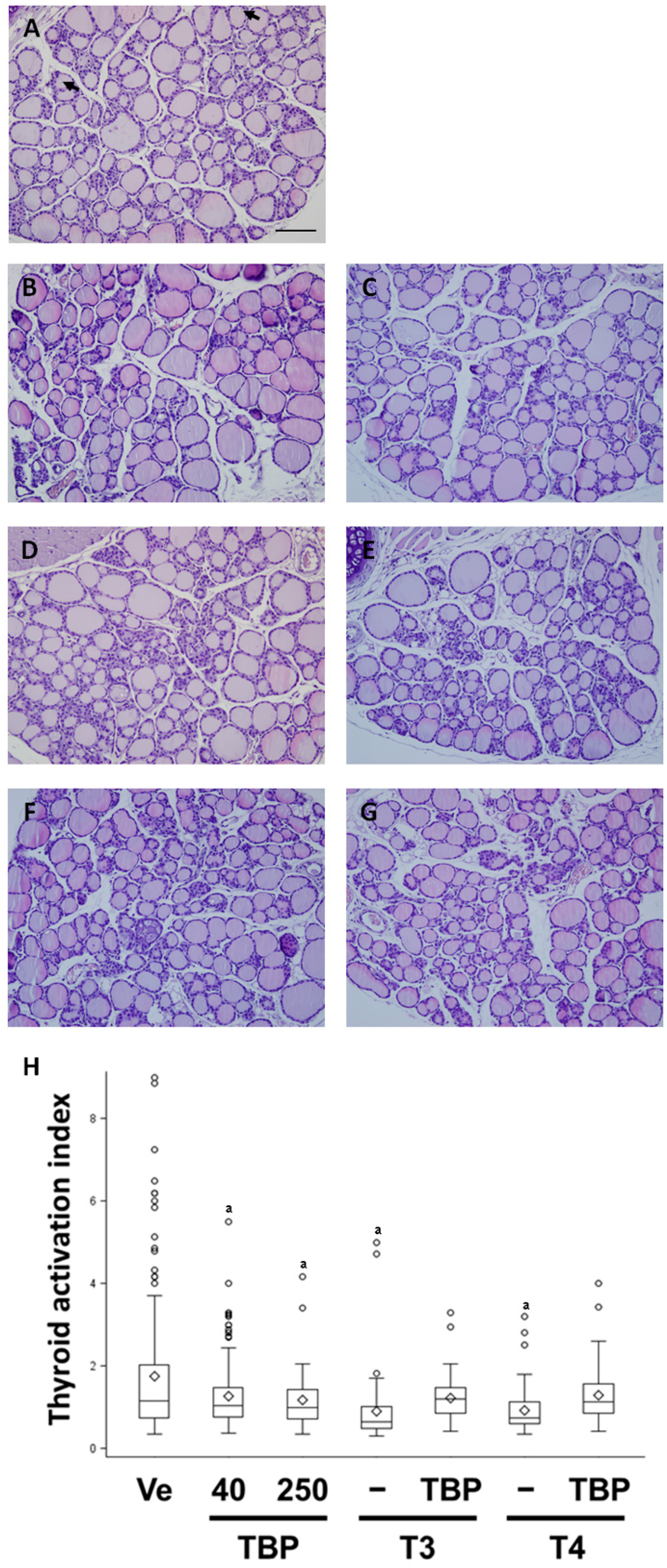 Ijerph 13 00697 g003