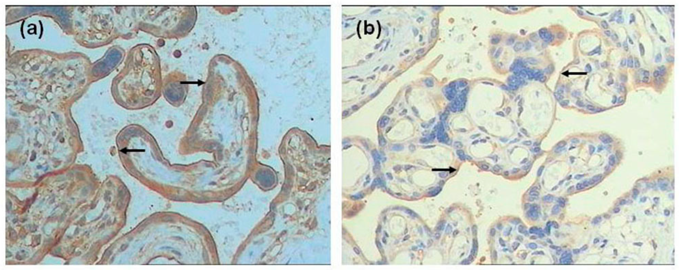 Ijerph 13 00766 g001a