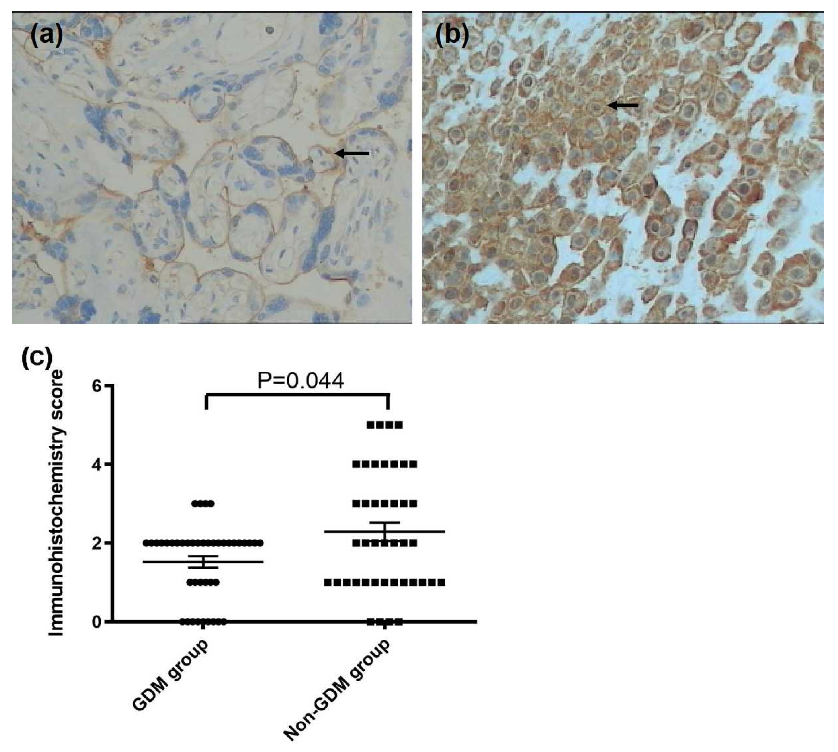 Ijerph 13 00766 g003