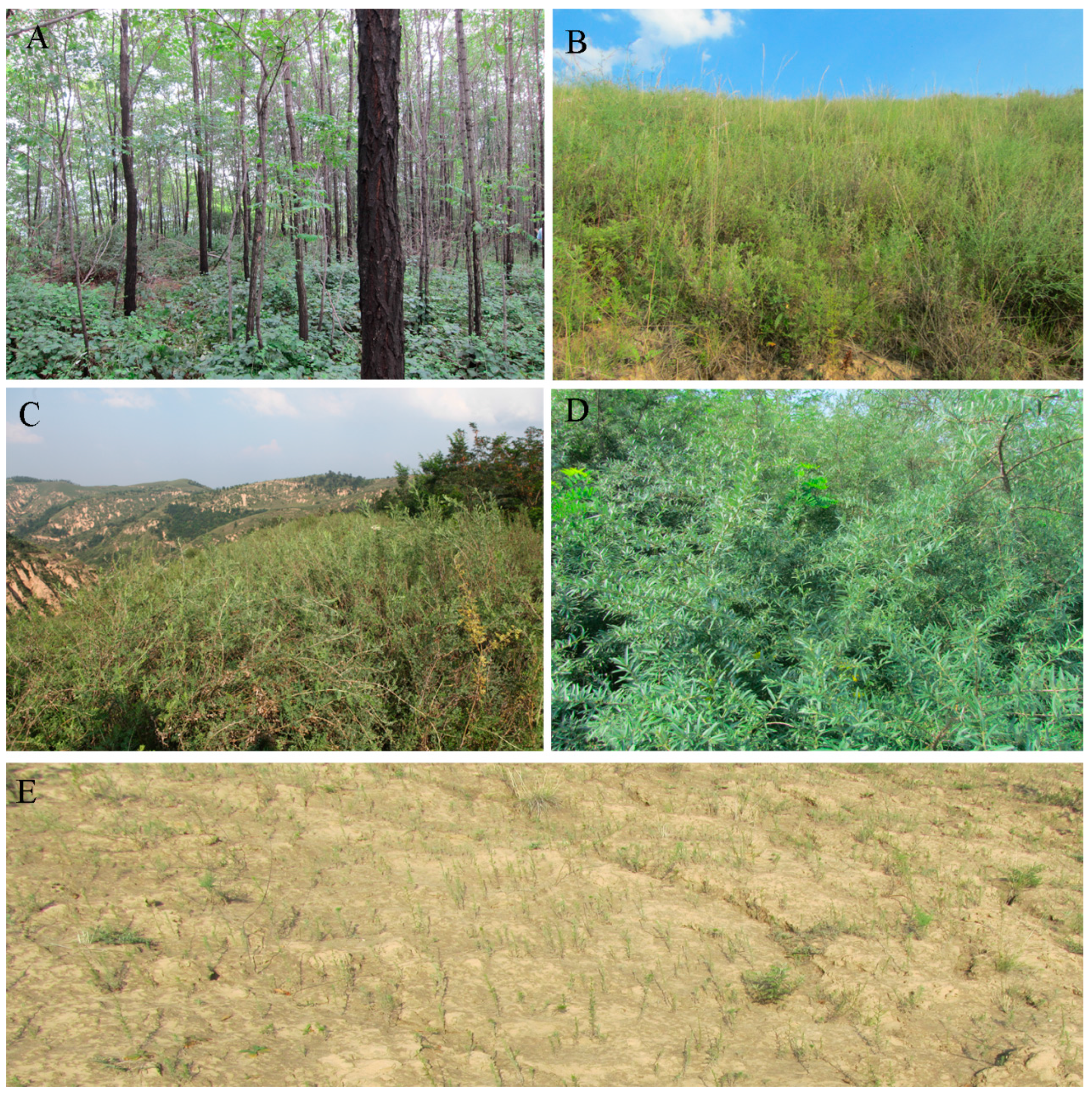 Ijerph 13 00785 g002