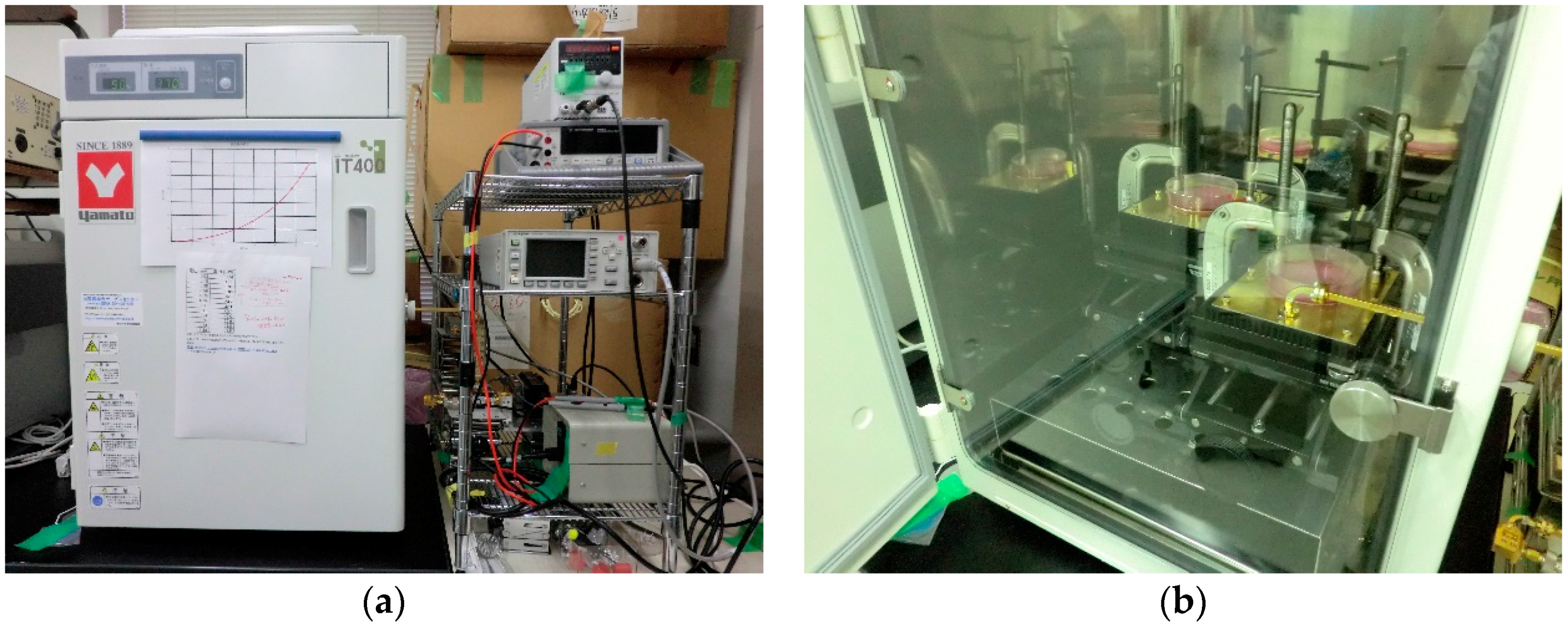 Ijerph 13 00802 g001