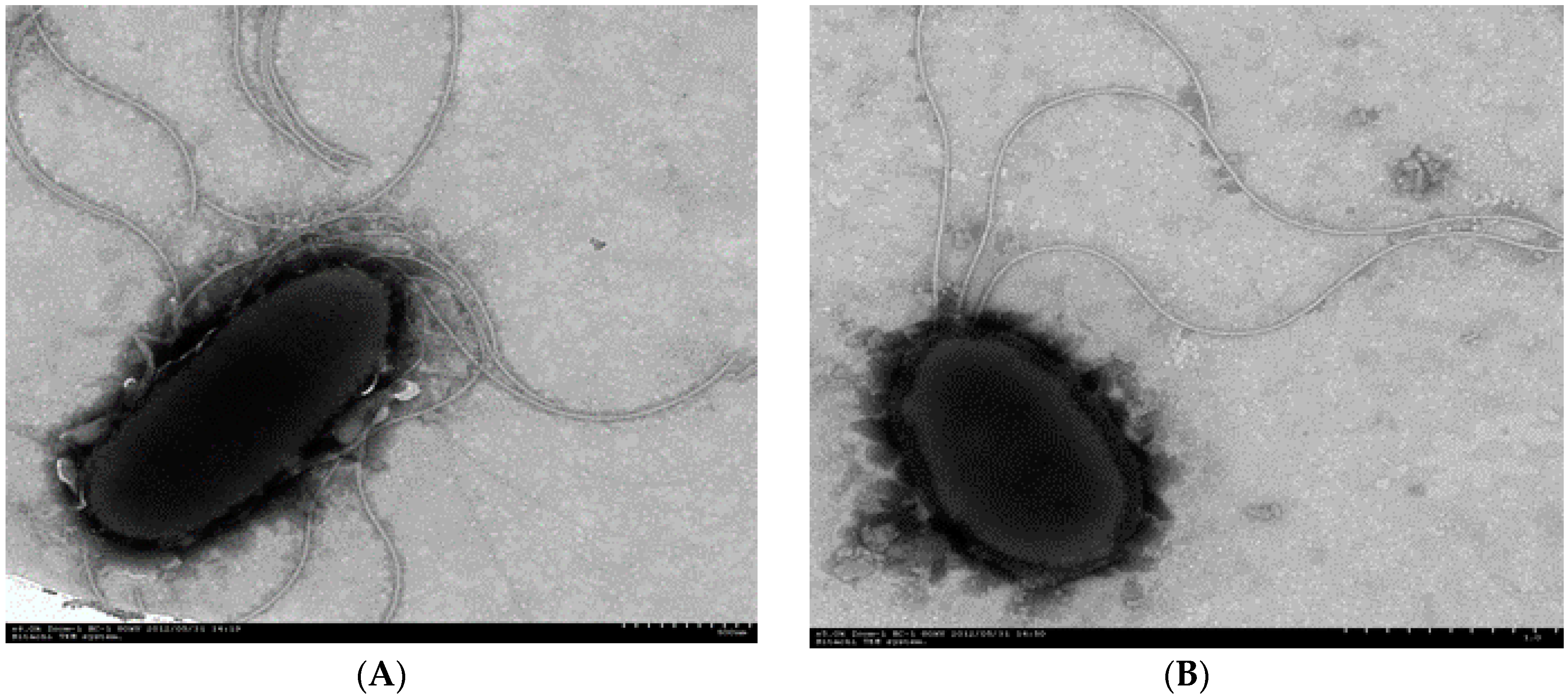 Ijerph 13 00805 g001