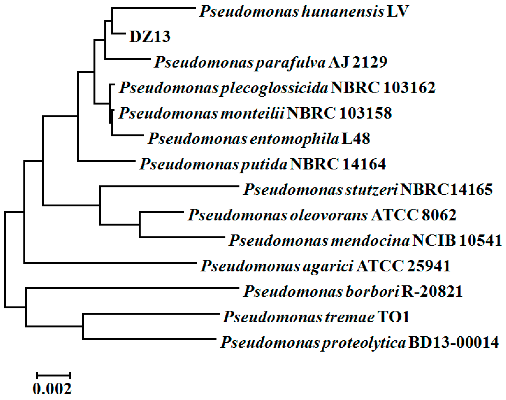 Ijerph 13 00883 g001