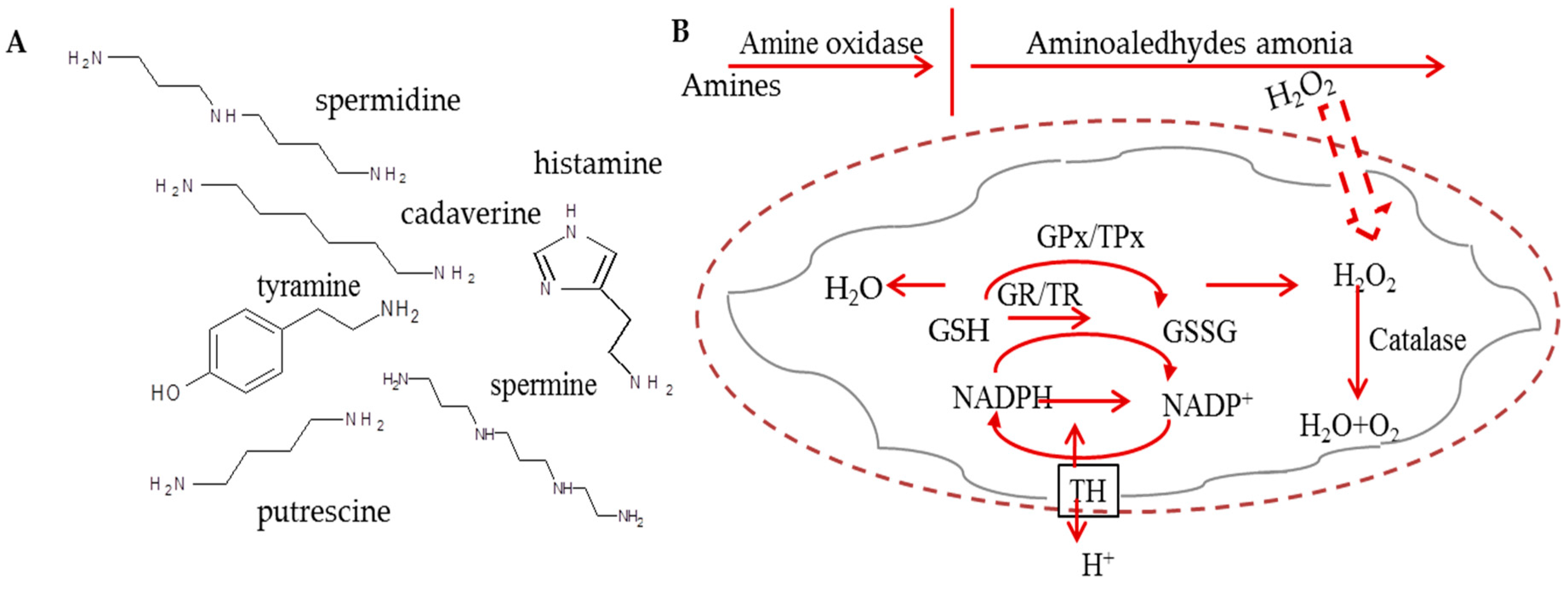 Ijerph 13 00904 g001