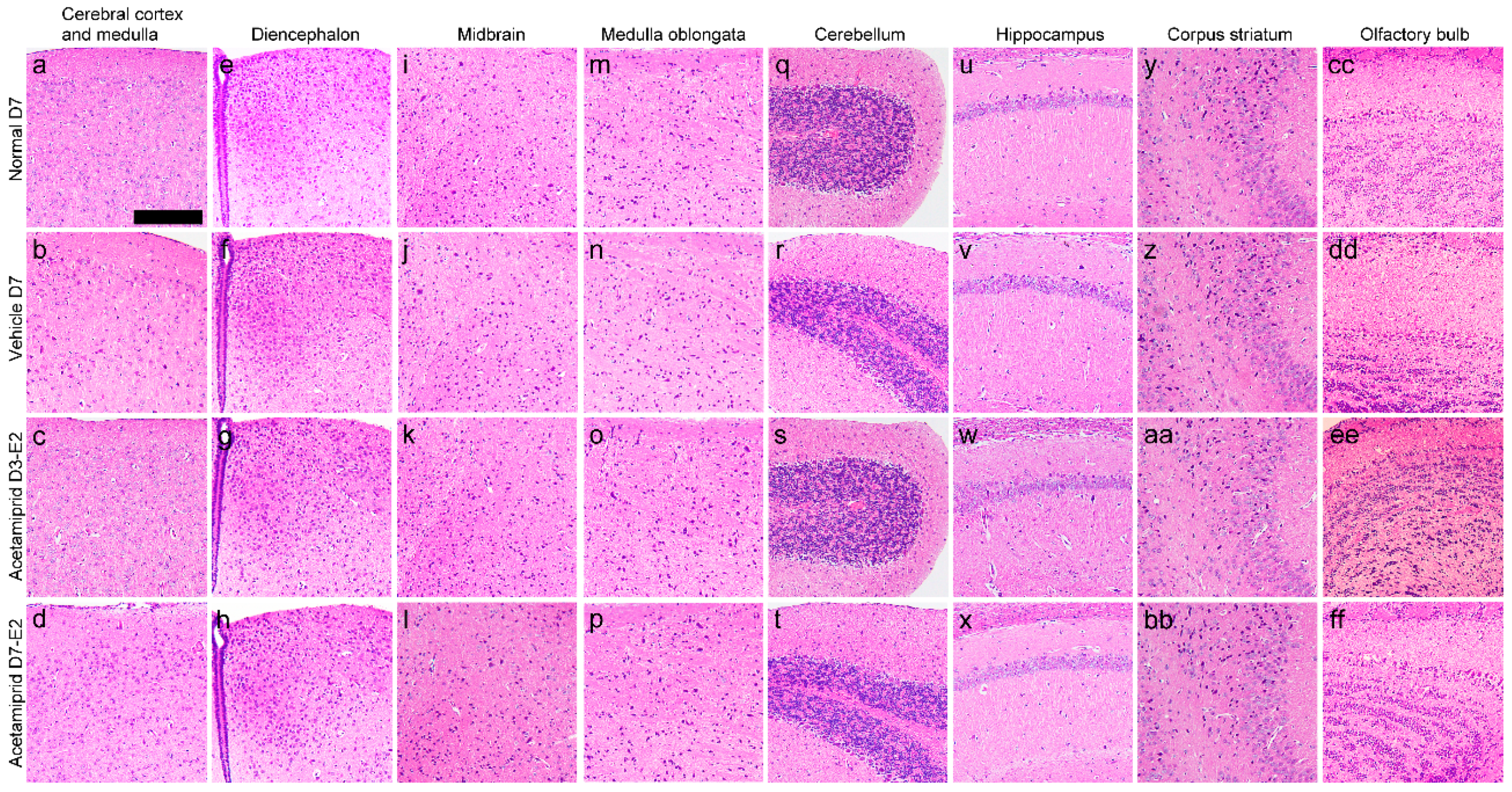 Ijerph 13 00937 g002