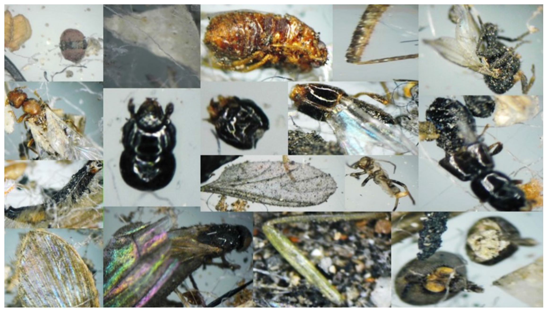 Ijerph 13 00985 g003