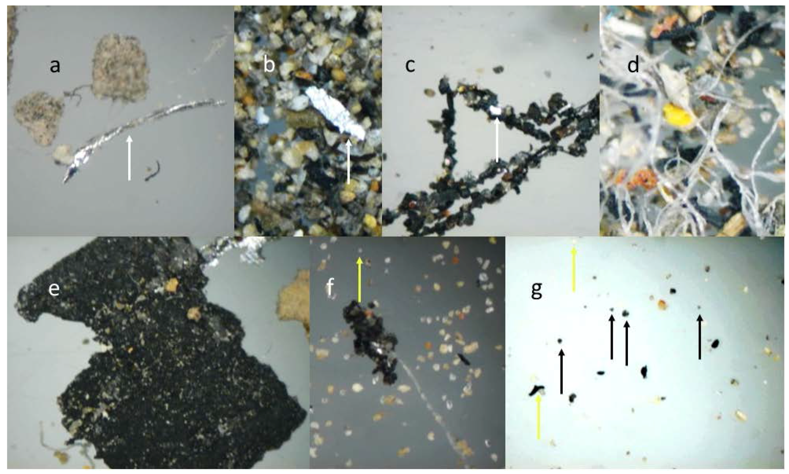 Ijerph 13 00985 g004