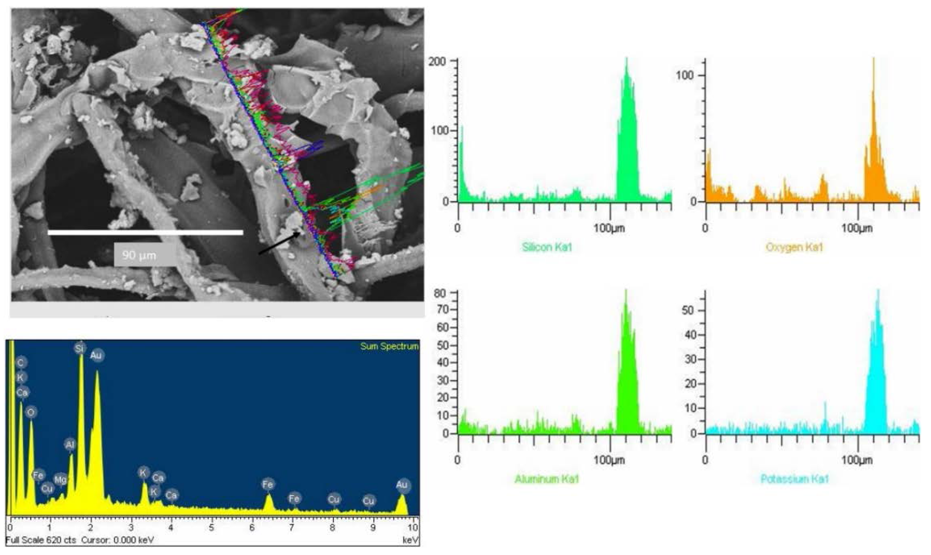 Ijerph 13 00985 g007