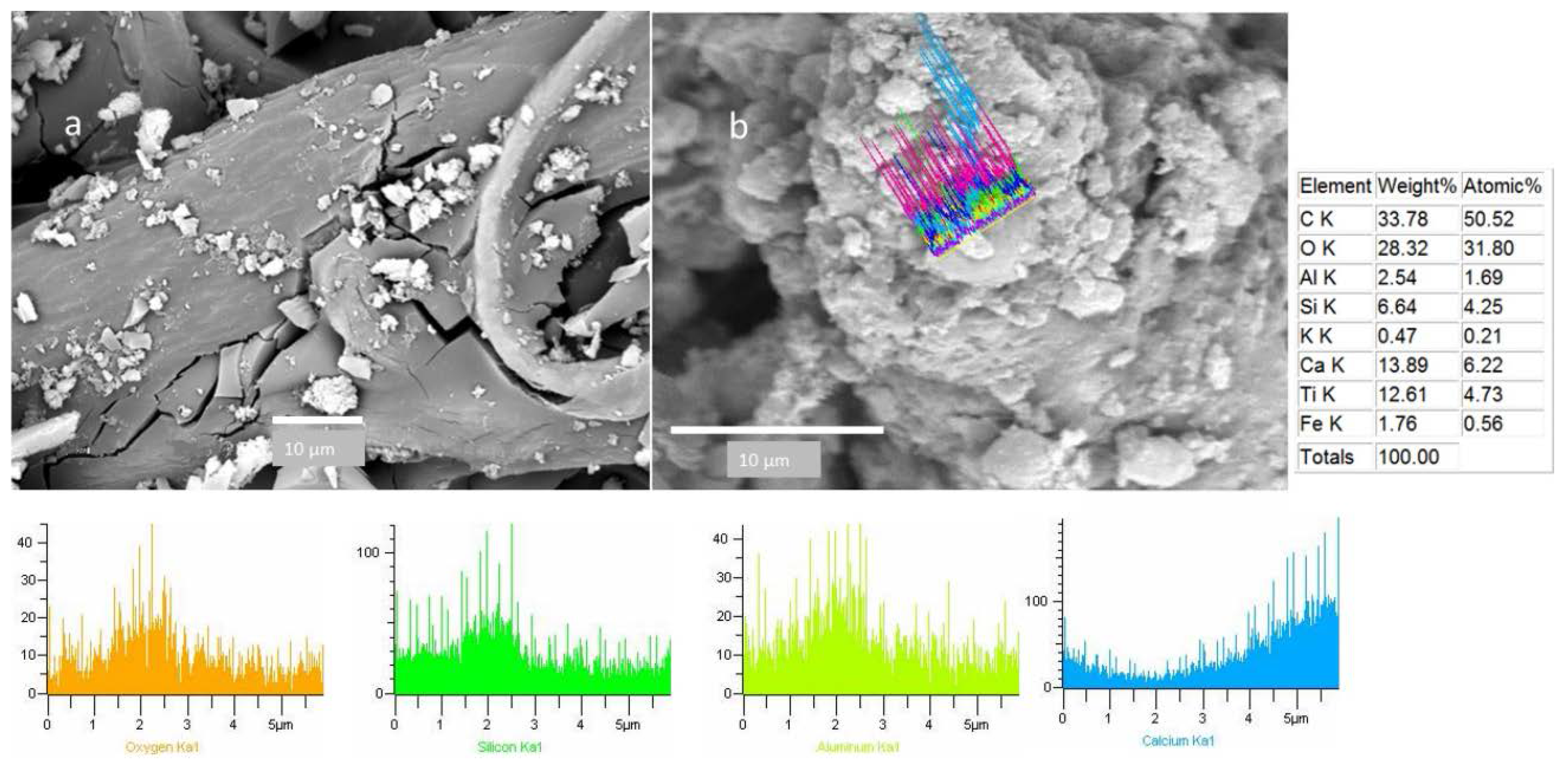 Ijerph 13 00985 g008