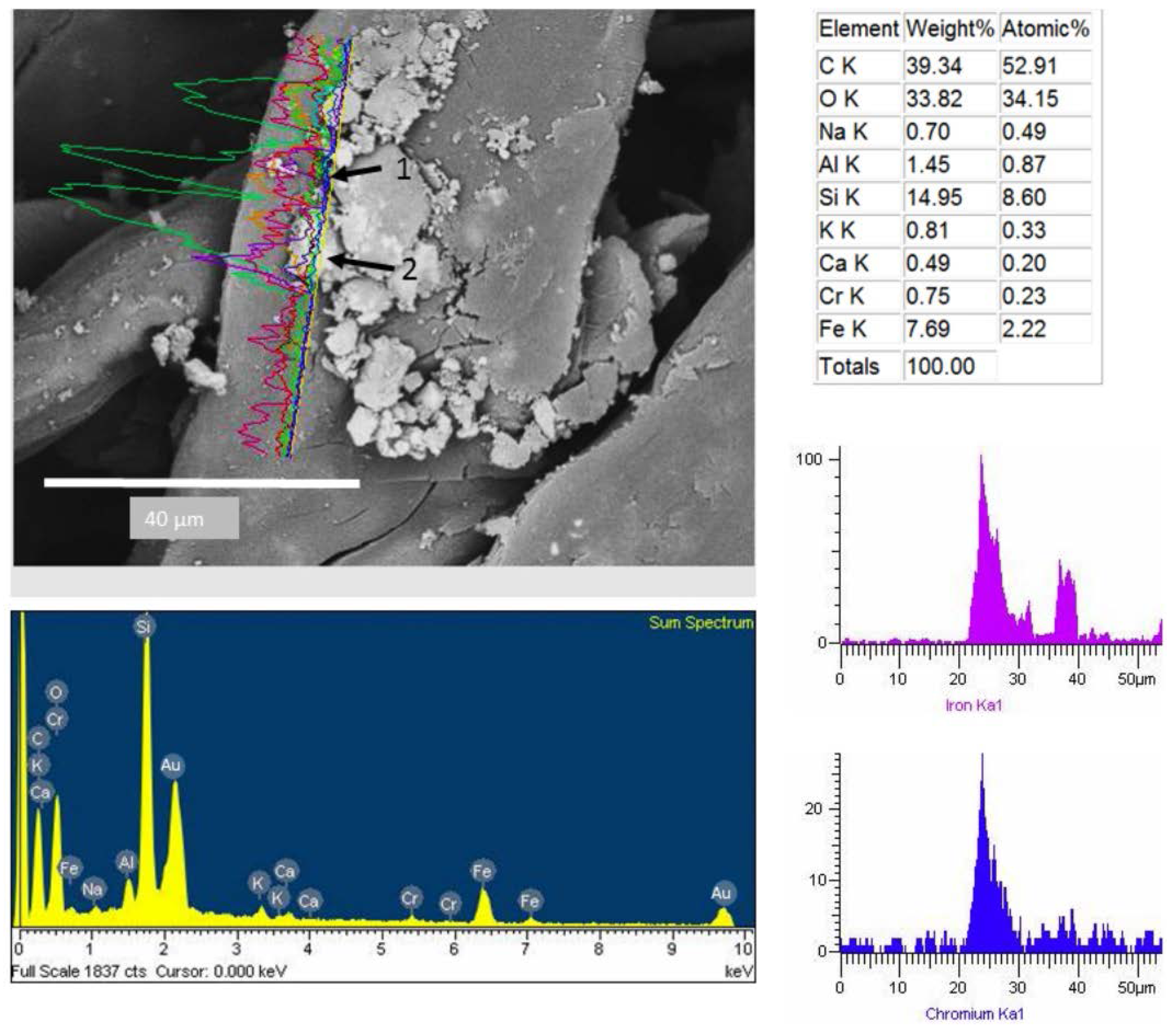 Ijerph 13 00985 g009