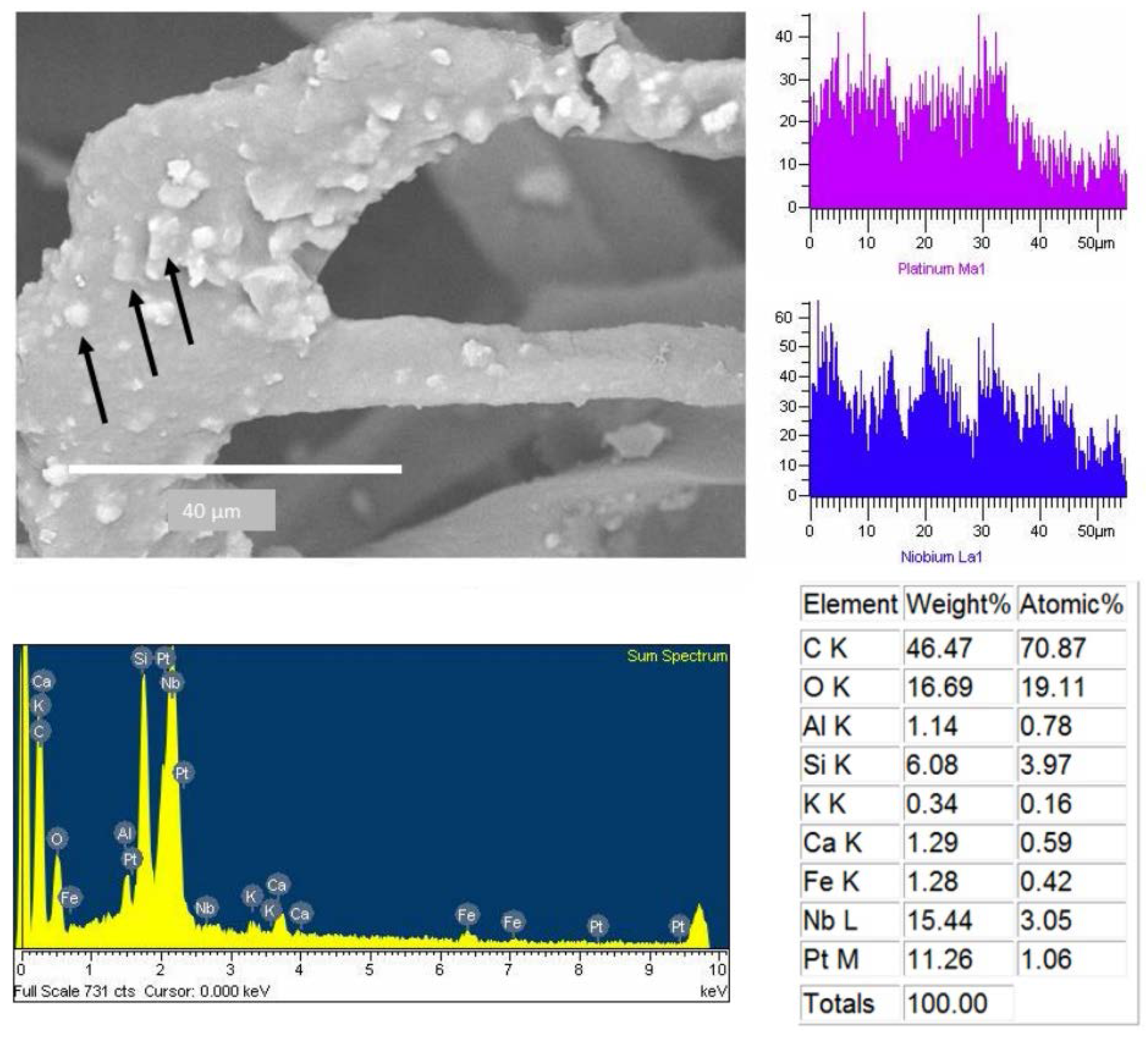 Ijerph 13 00985 g010