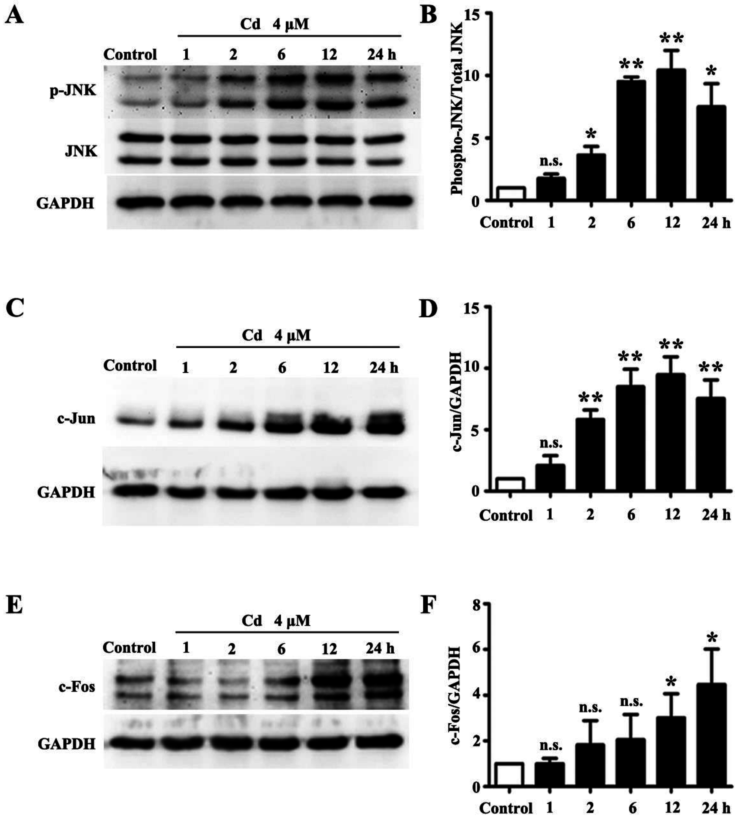Ijerph 13 00990 g001
