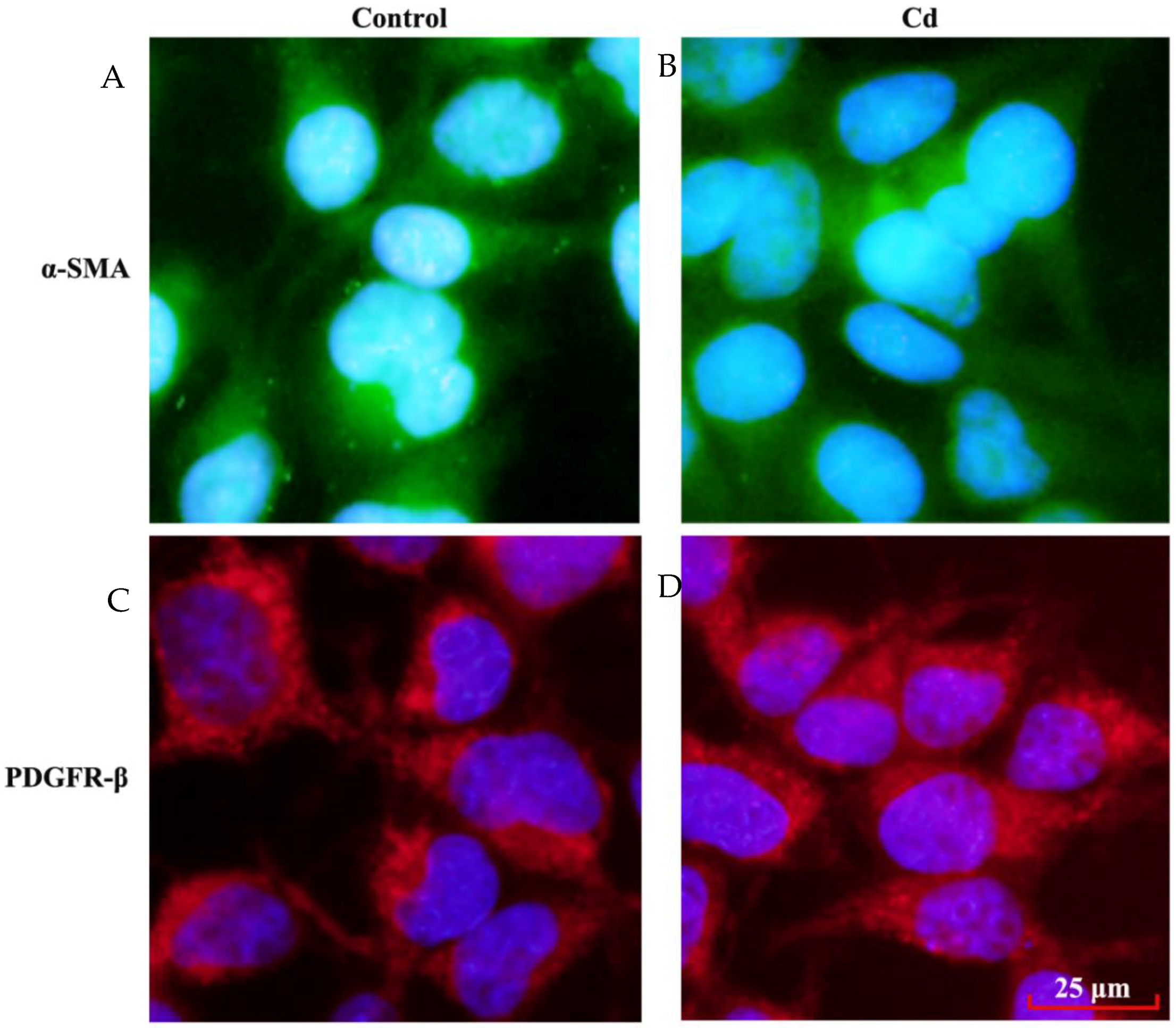 Ijerph 13 00990 g004