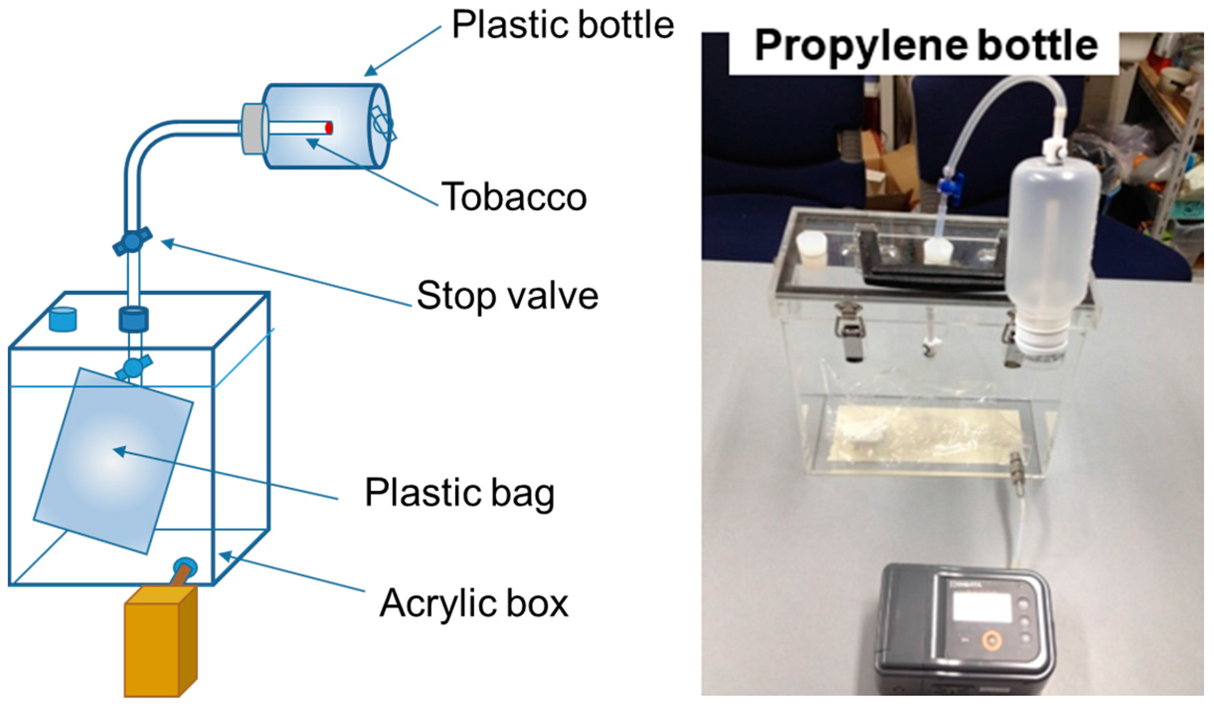 Ijerph 13 00994 g001