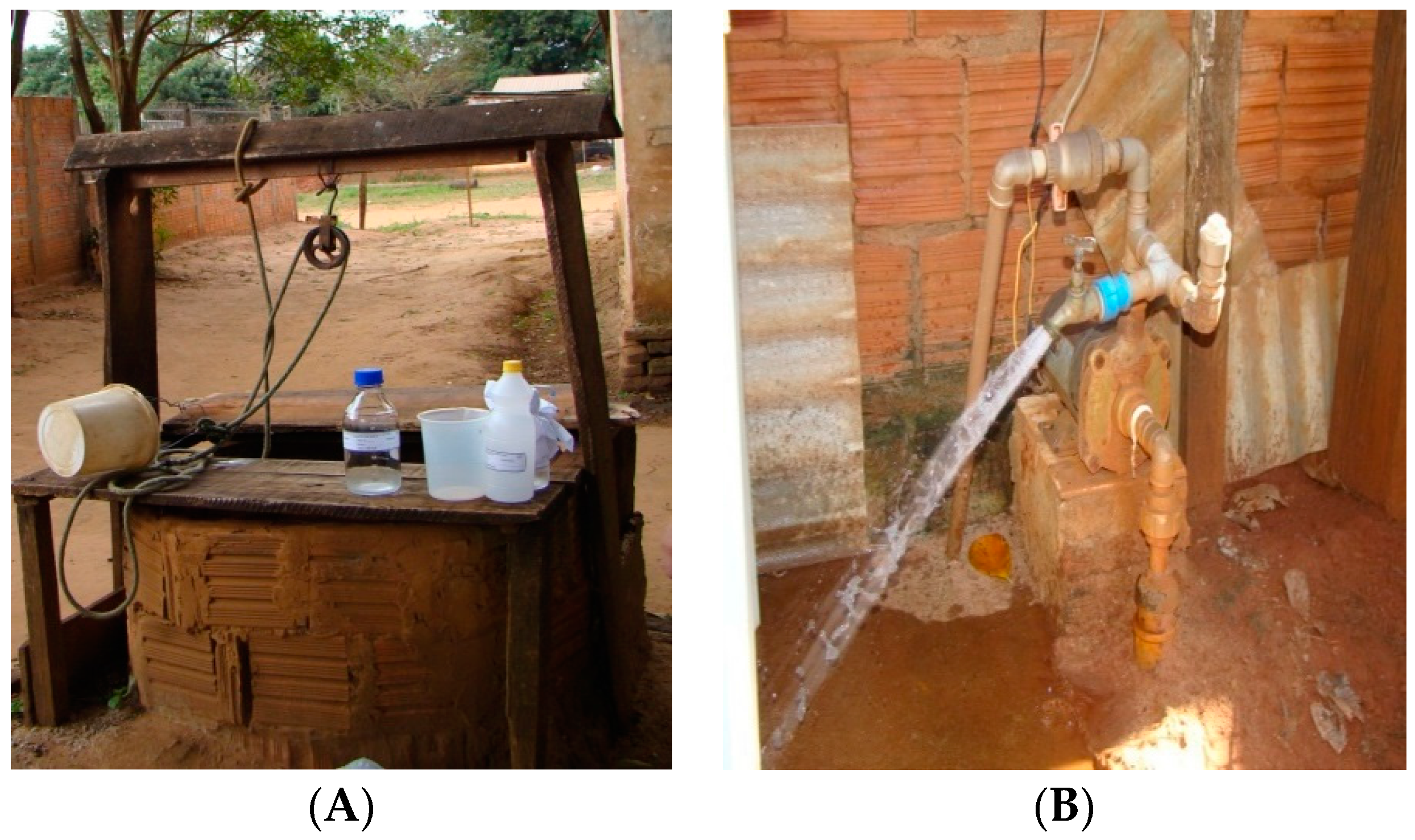 Ijerph 13 01036 g001