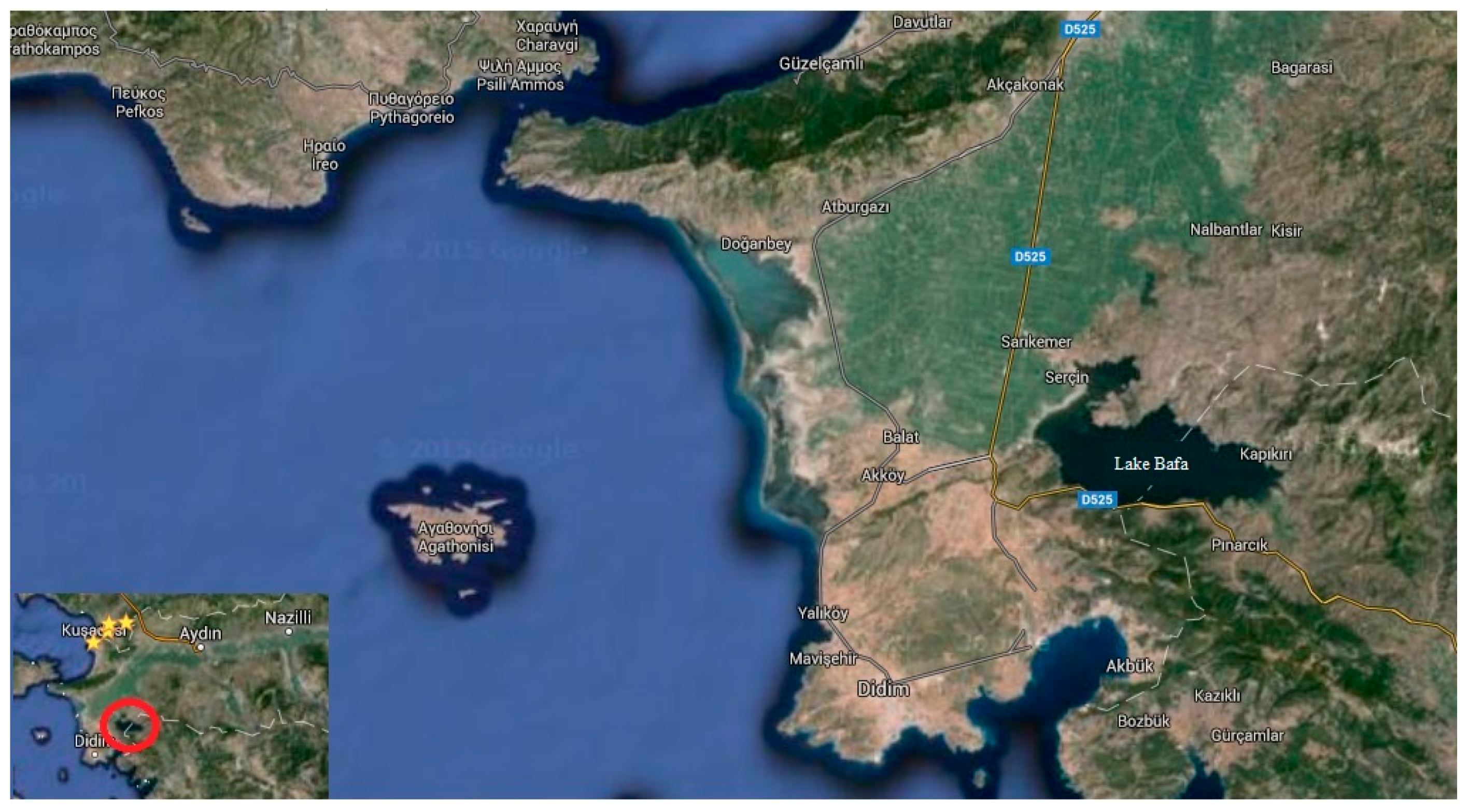 Ijerph 13 01113 g001