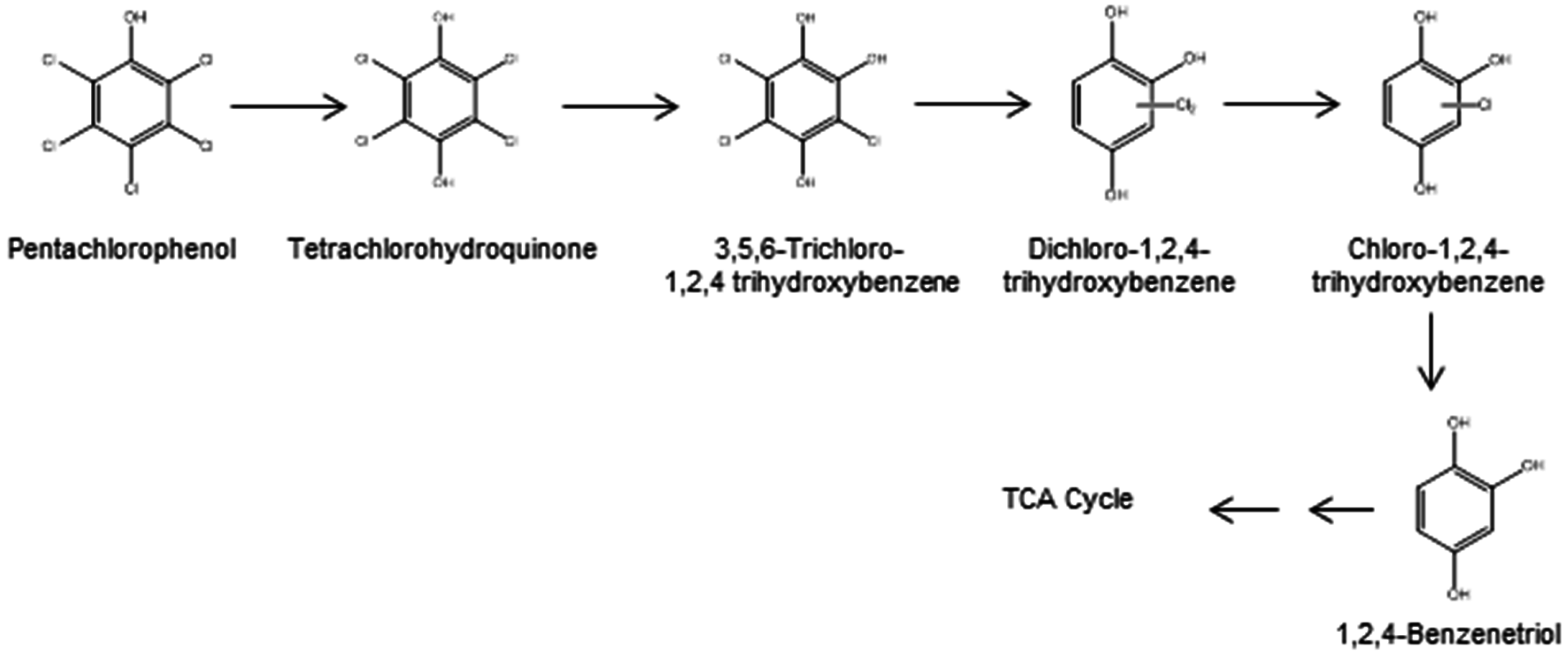 Ijerph 13 01146 g002