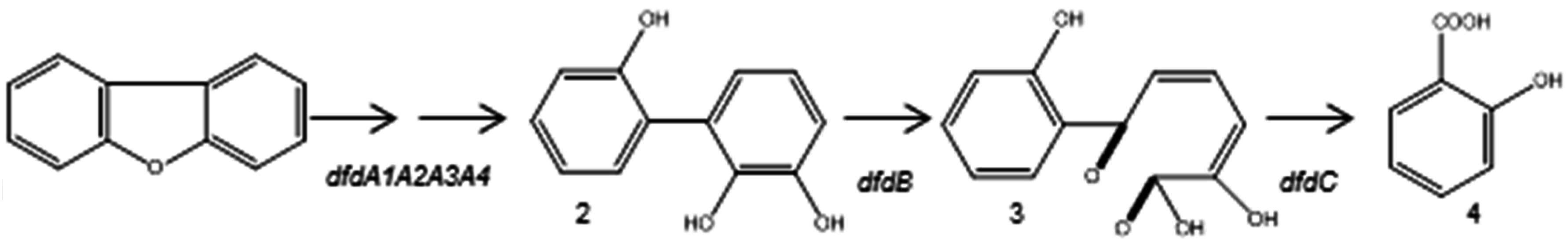 Ijerph 13 01146 g006