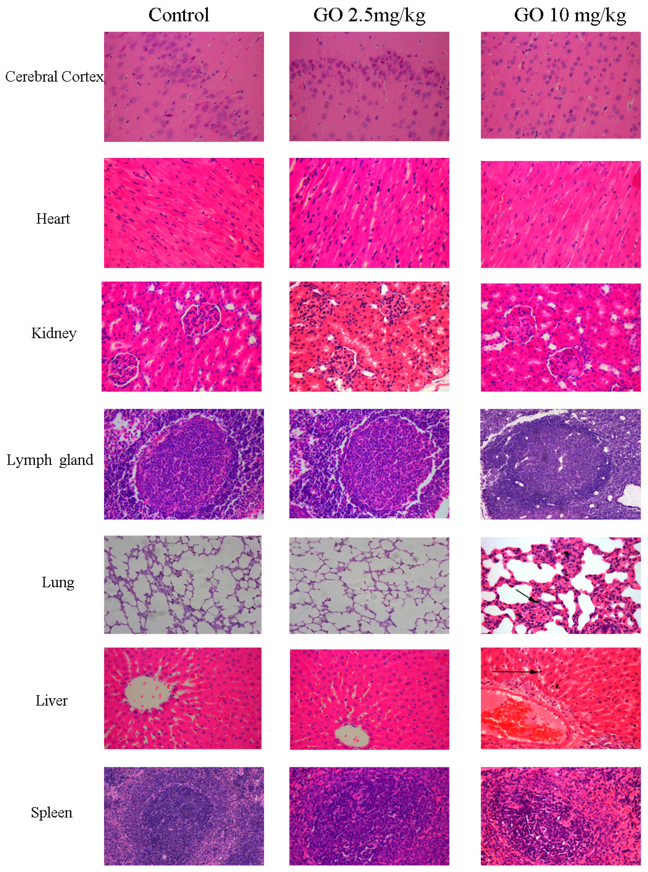 Ijerph 13 01149 g003