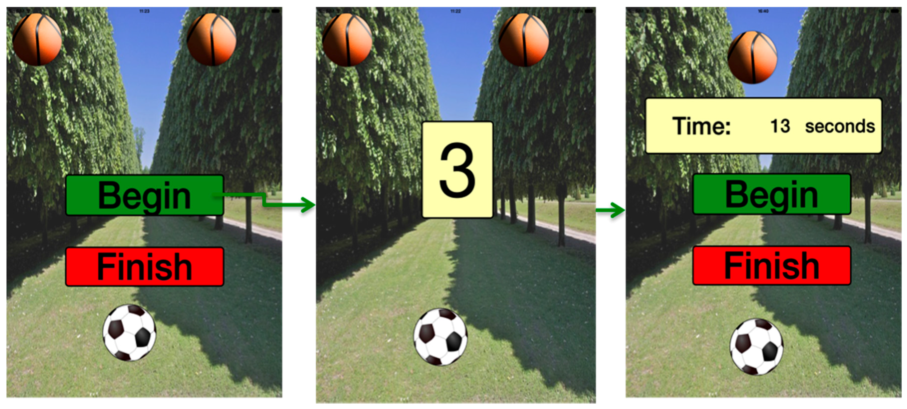 Ijerph 13 01176 g009