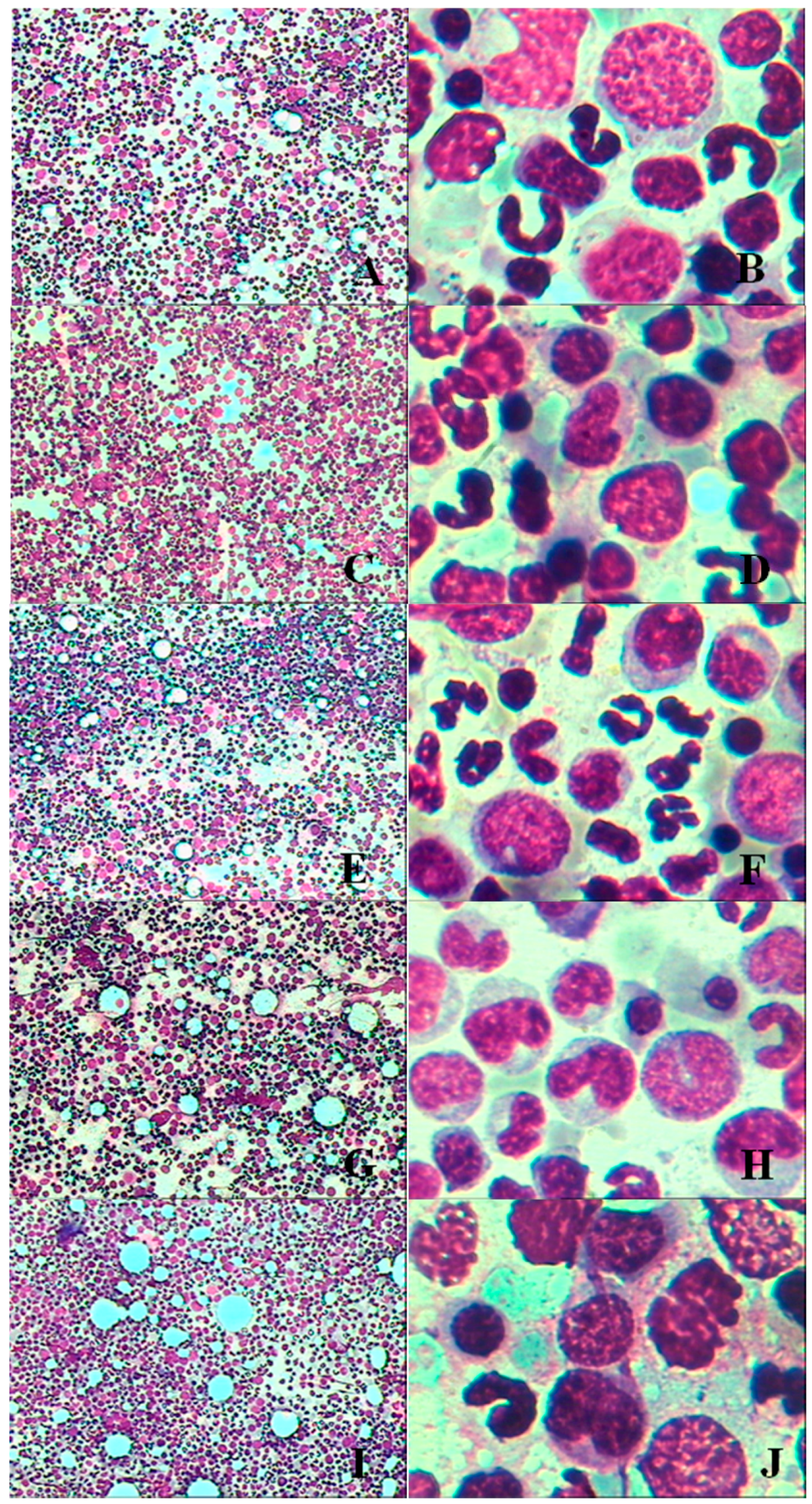 Ijerph 13 01190 g002