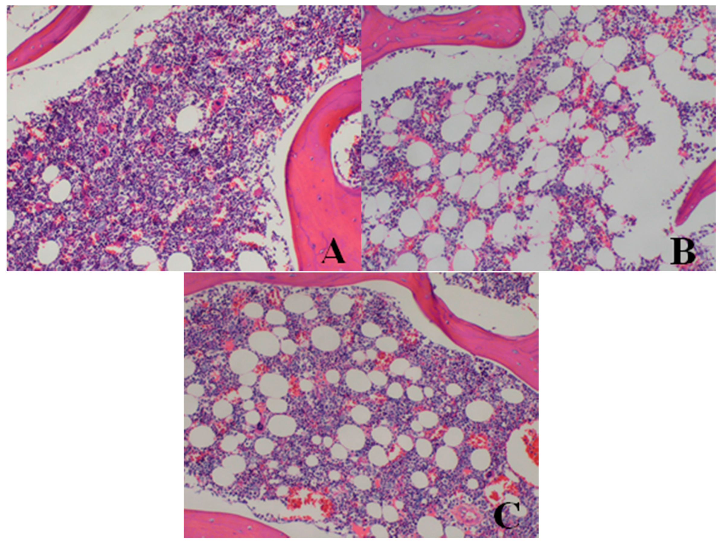 Ijerph 13 01190 g004
