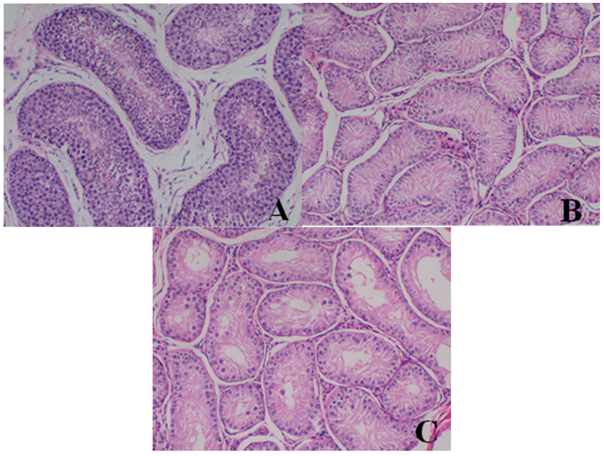 Ijerph 13 01190 g005