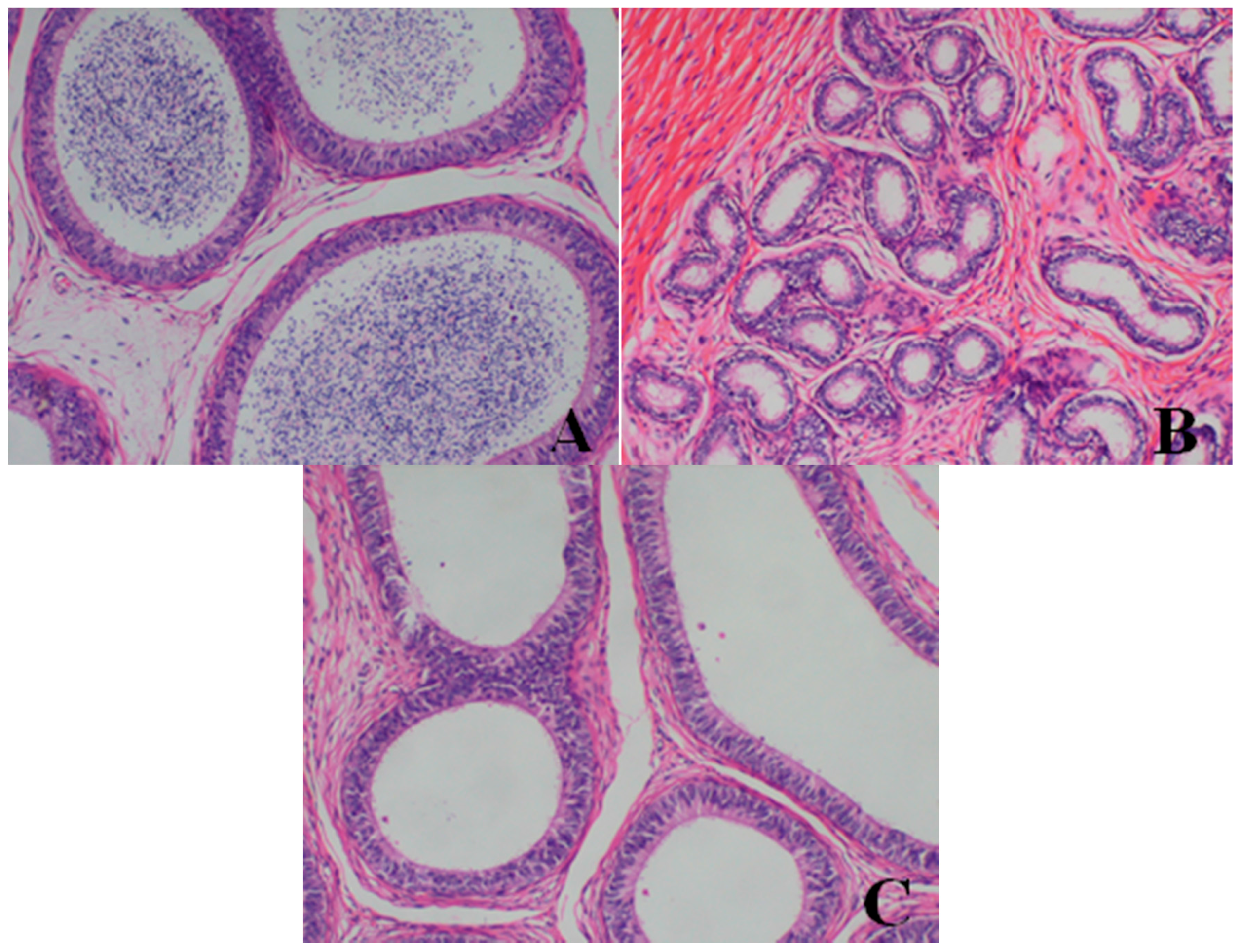 Ijerph 13 01190 g006