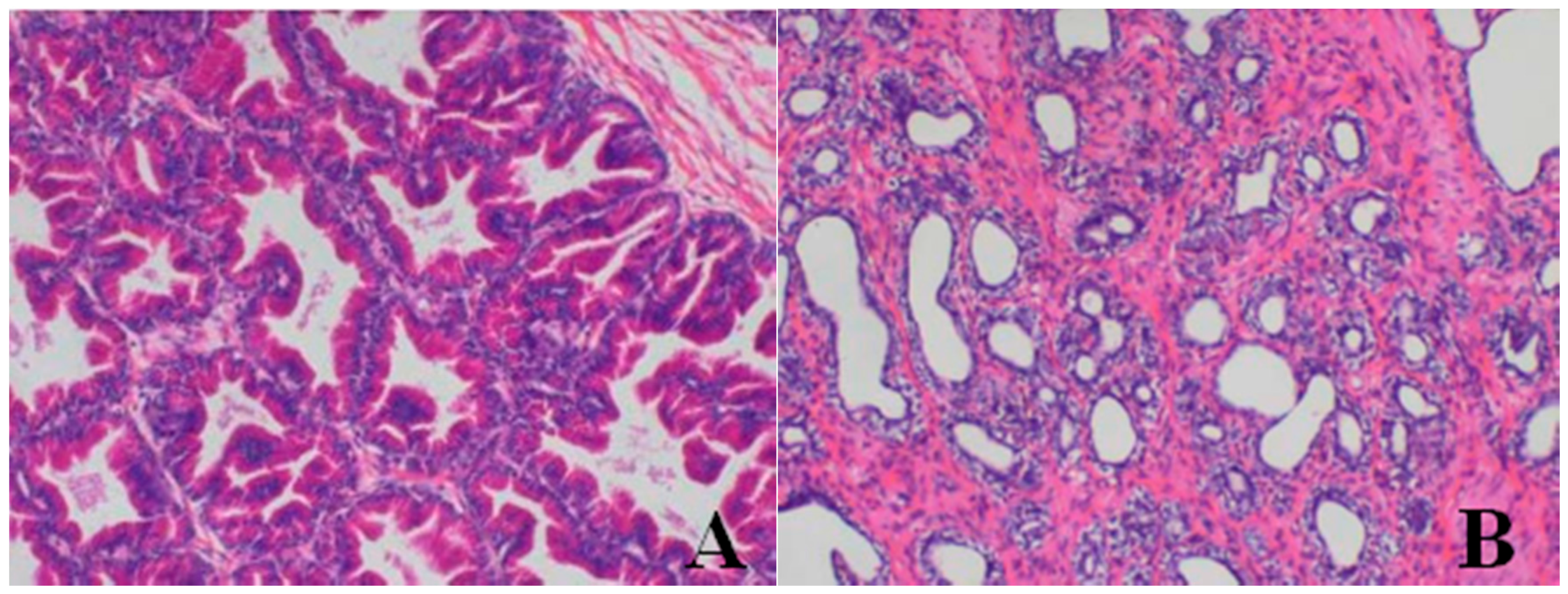 Ijerph 13 01190 g007a