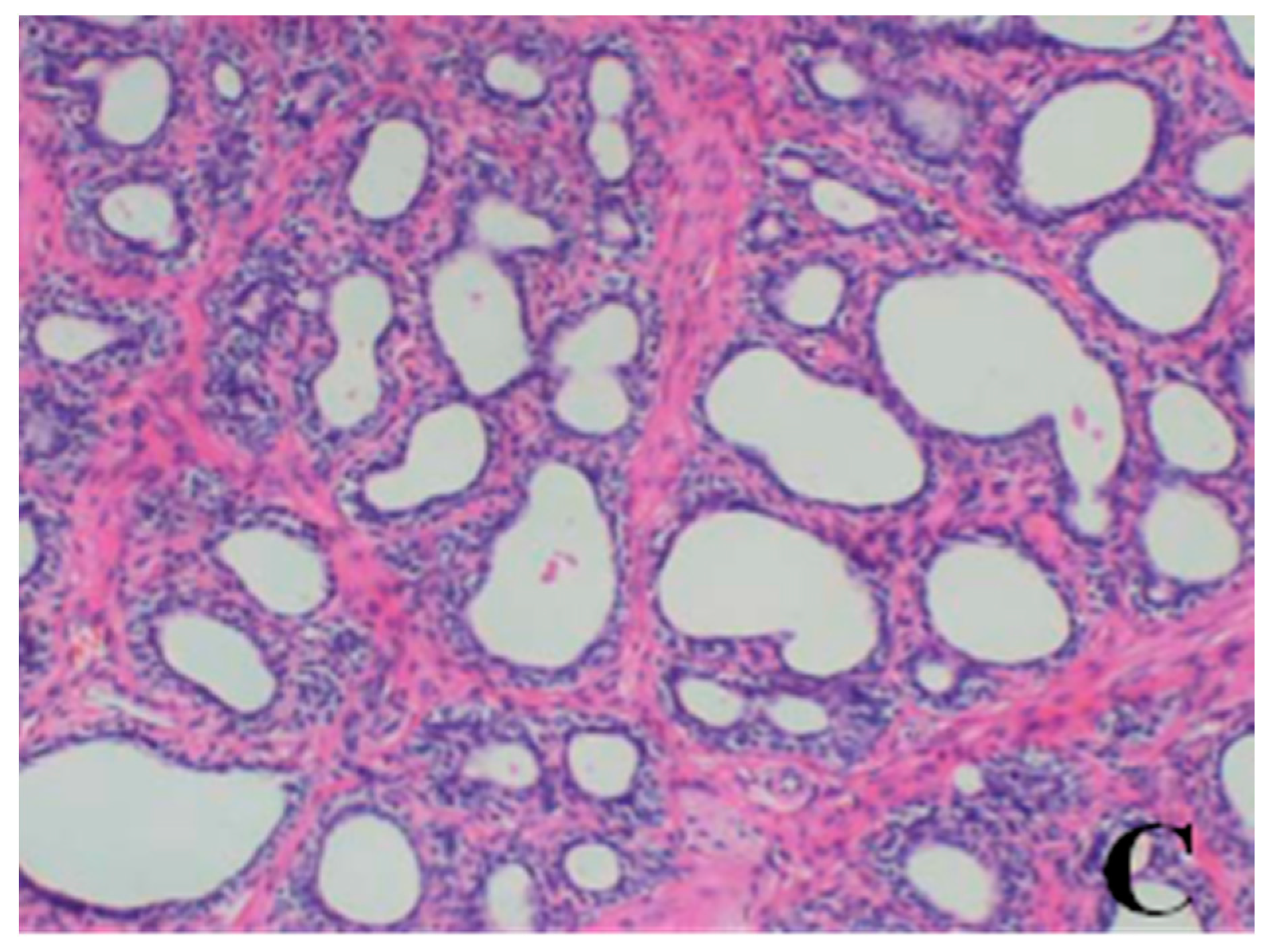 Ijerph 13 01190 g007b