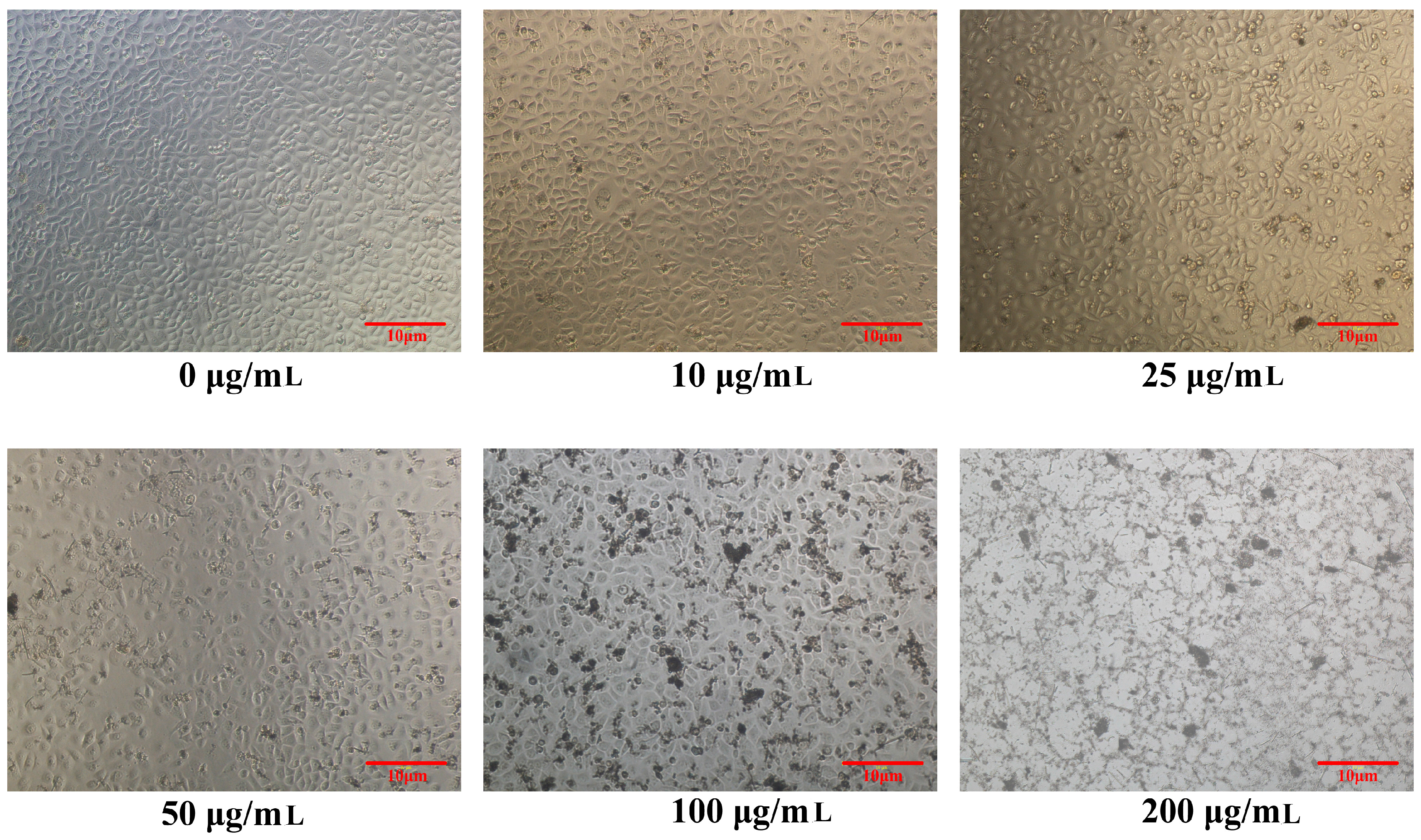 Ijerph 14 00072 g001