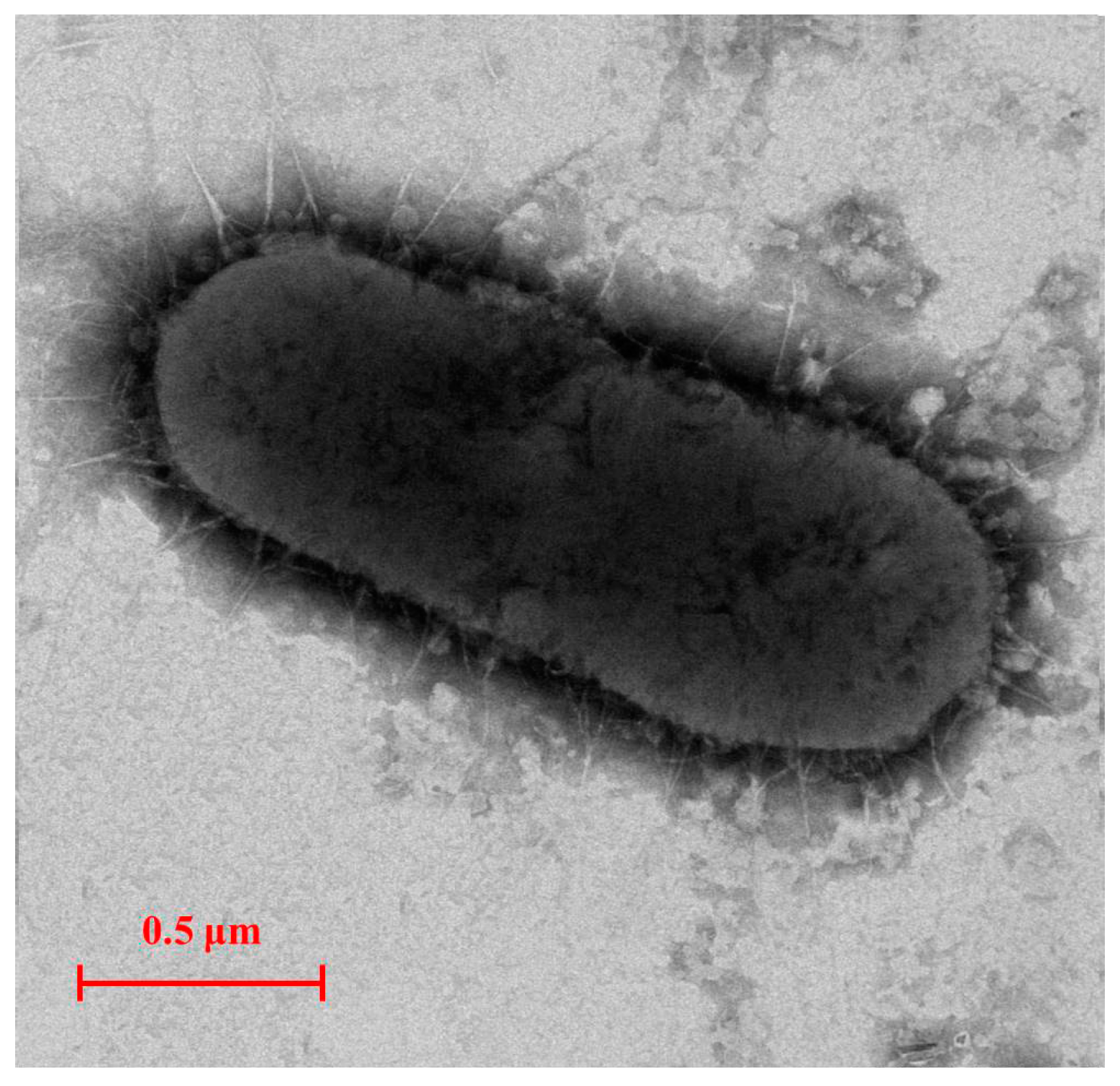 Ijerph 14 00115 g001