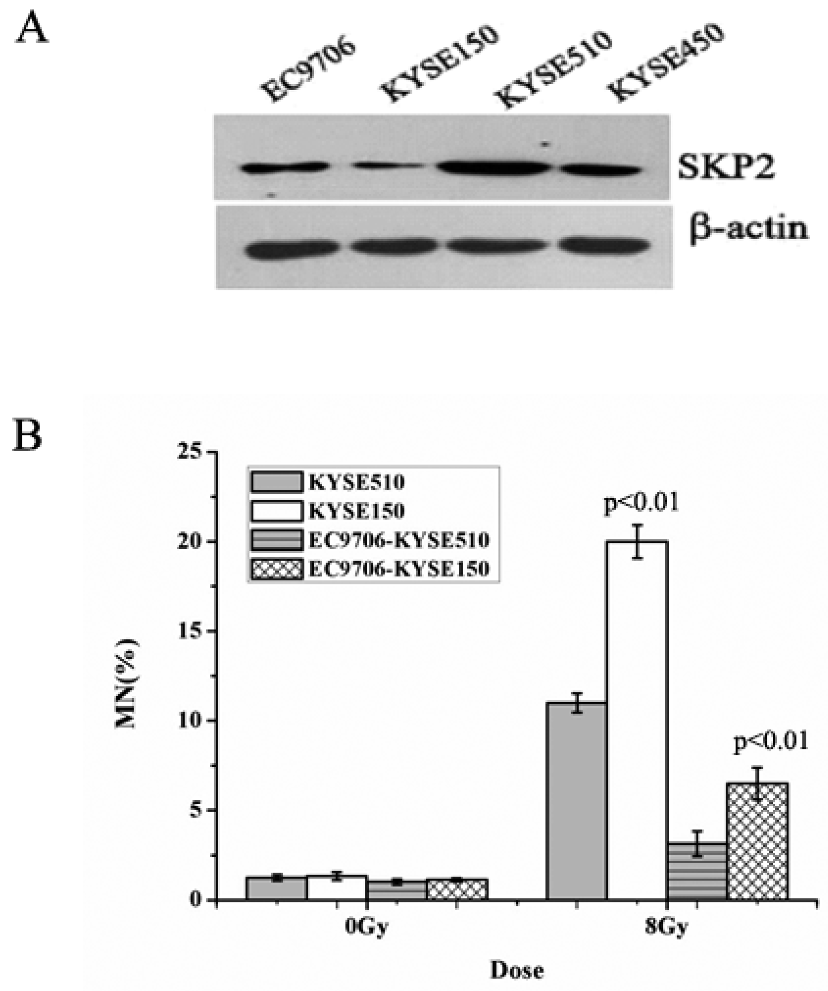 Ijerph 14 00155 g001