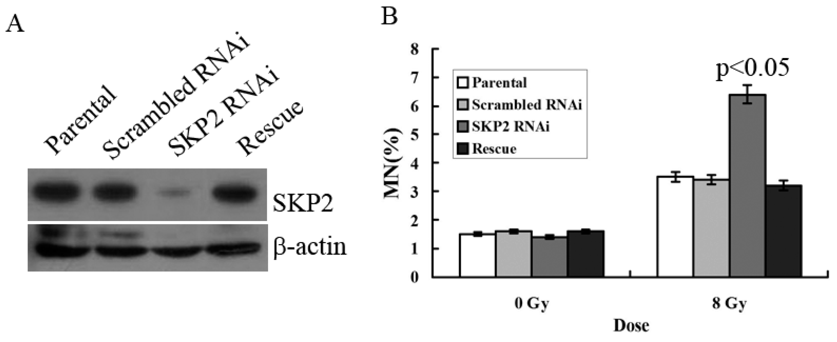 Ijerph 14 00155 g003