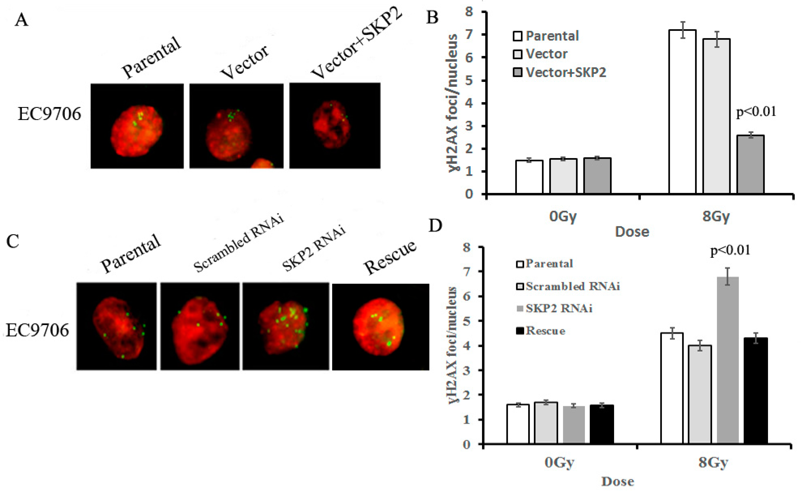 Ijerph 14 00155 g004